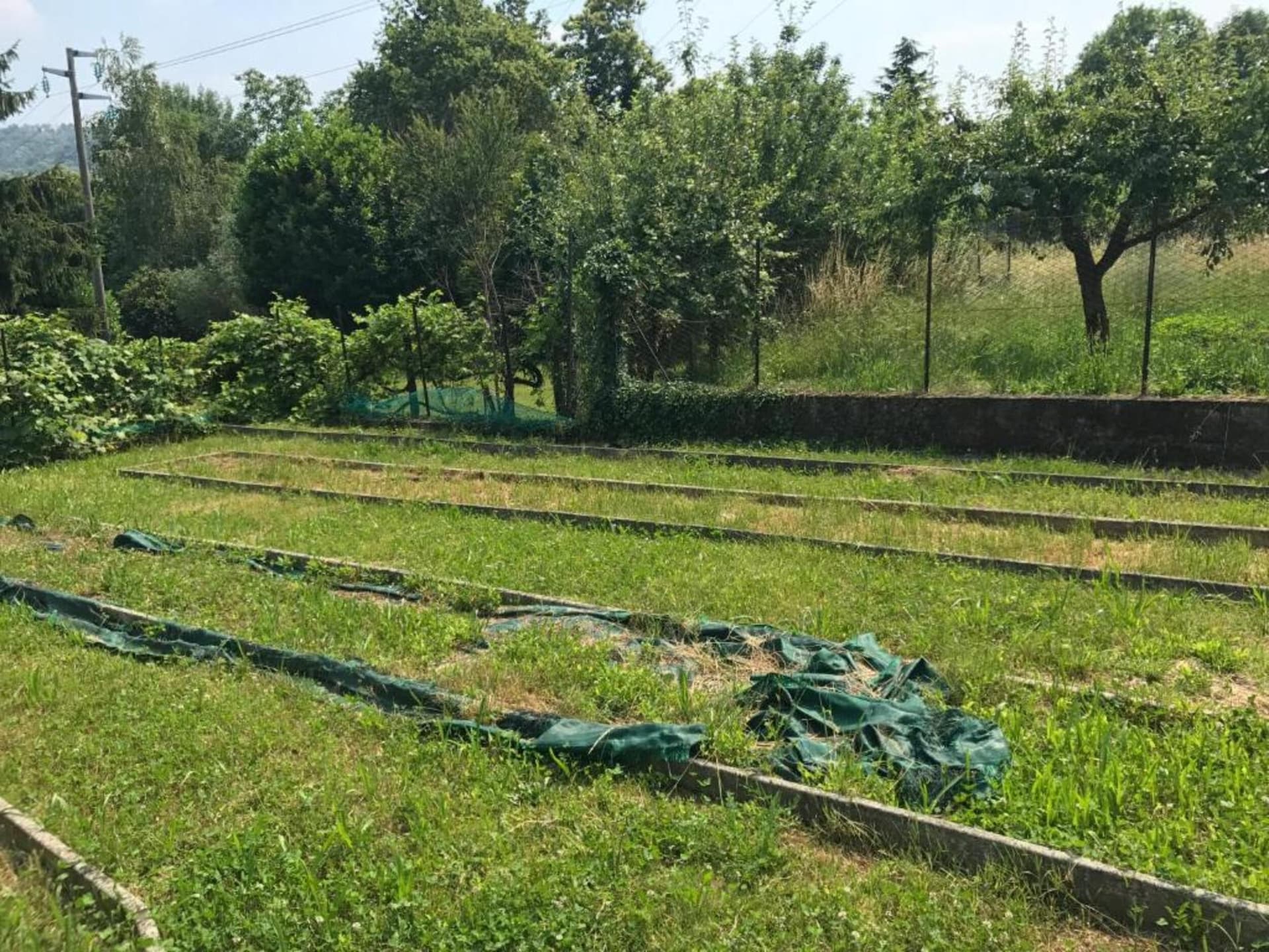 Op 800 m van het centrum: Ruim vakantiehuis voor 6 personen in Meina - foto 39