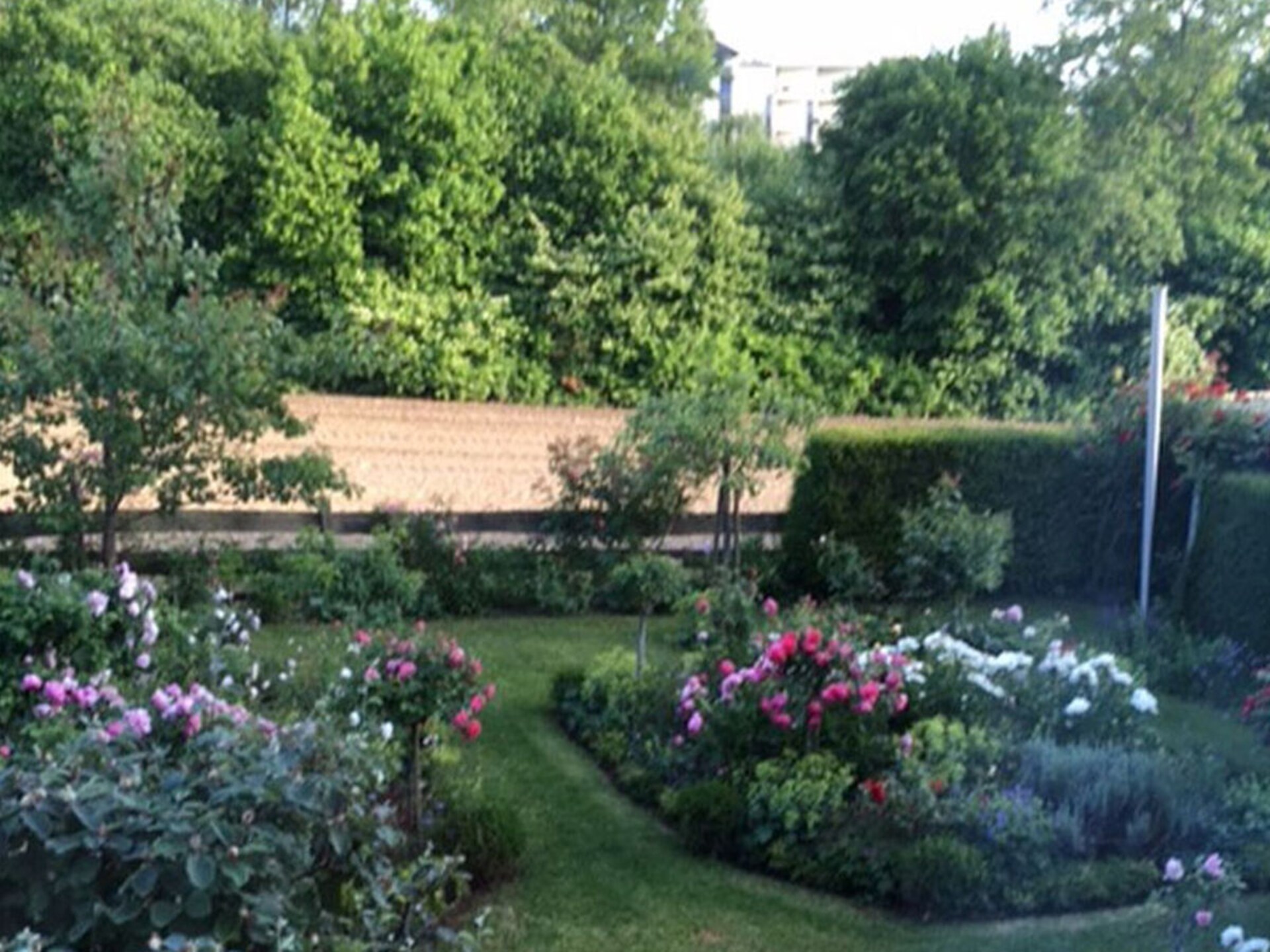 Stijlvol appartement voor 2 aan het Bodenmeer in Überlingen - foto 2