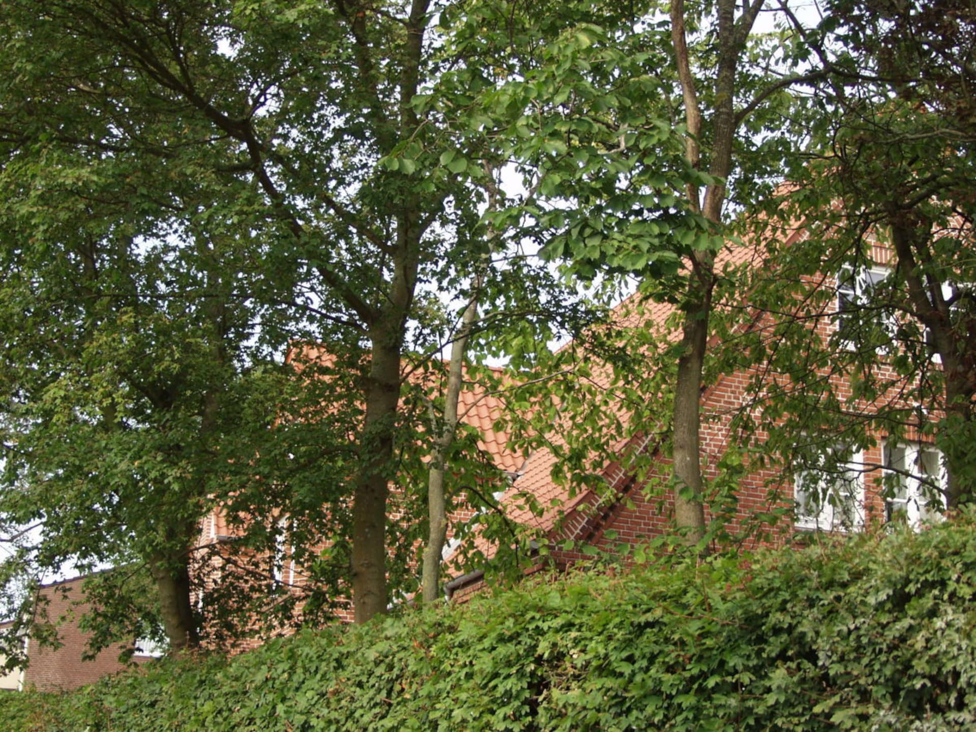 Knus zolderappartement met uitzicht op het historische Burg op Fehmarn - foto 17