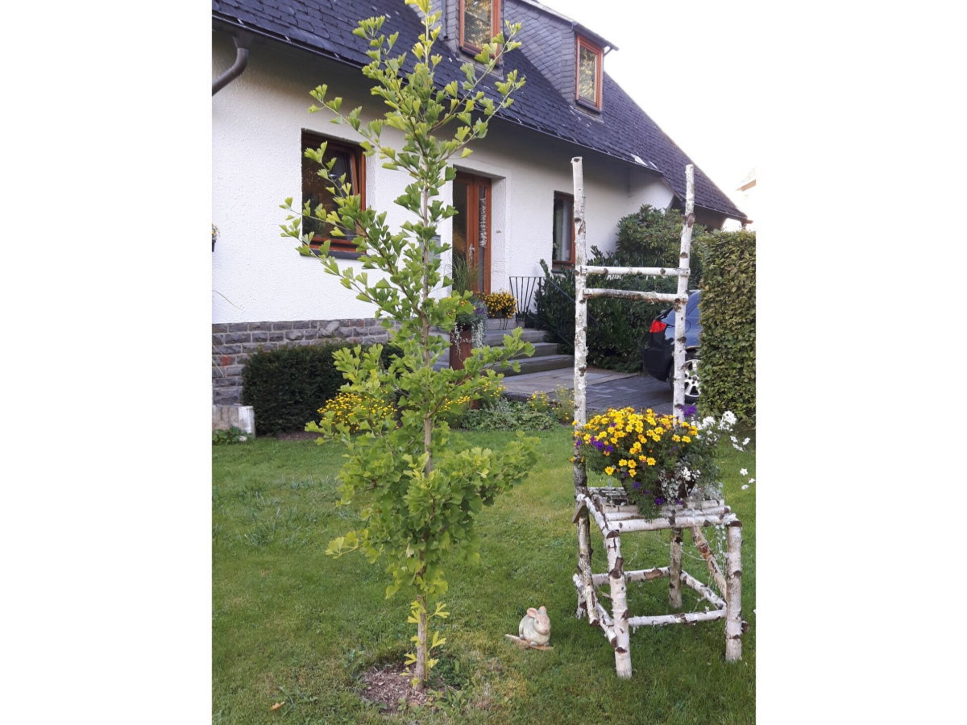 Knus vakantiehuis voor 4 aan het meer in Olsberg, Sauerland - foto 9