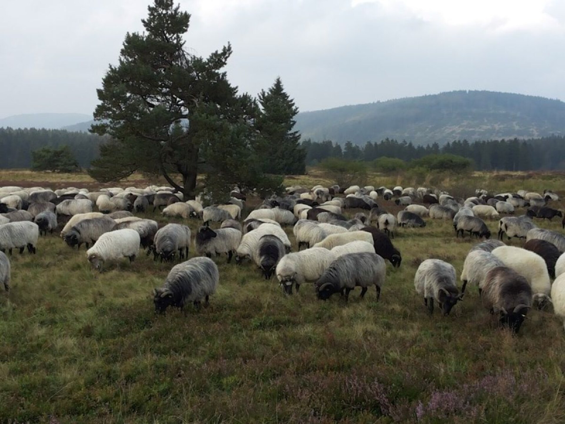 Knus vakantiehuis voor 4 aan het meer in Olsberg, Sauerland - foto 22