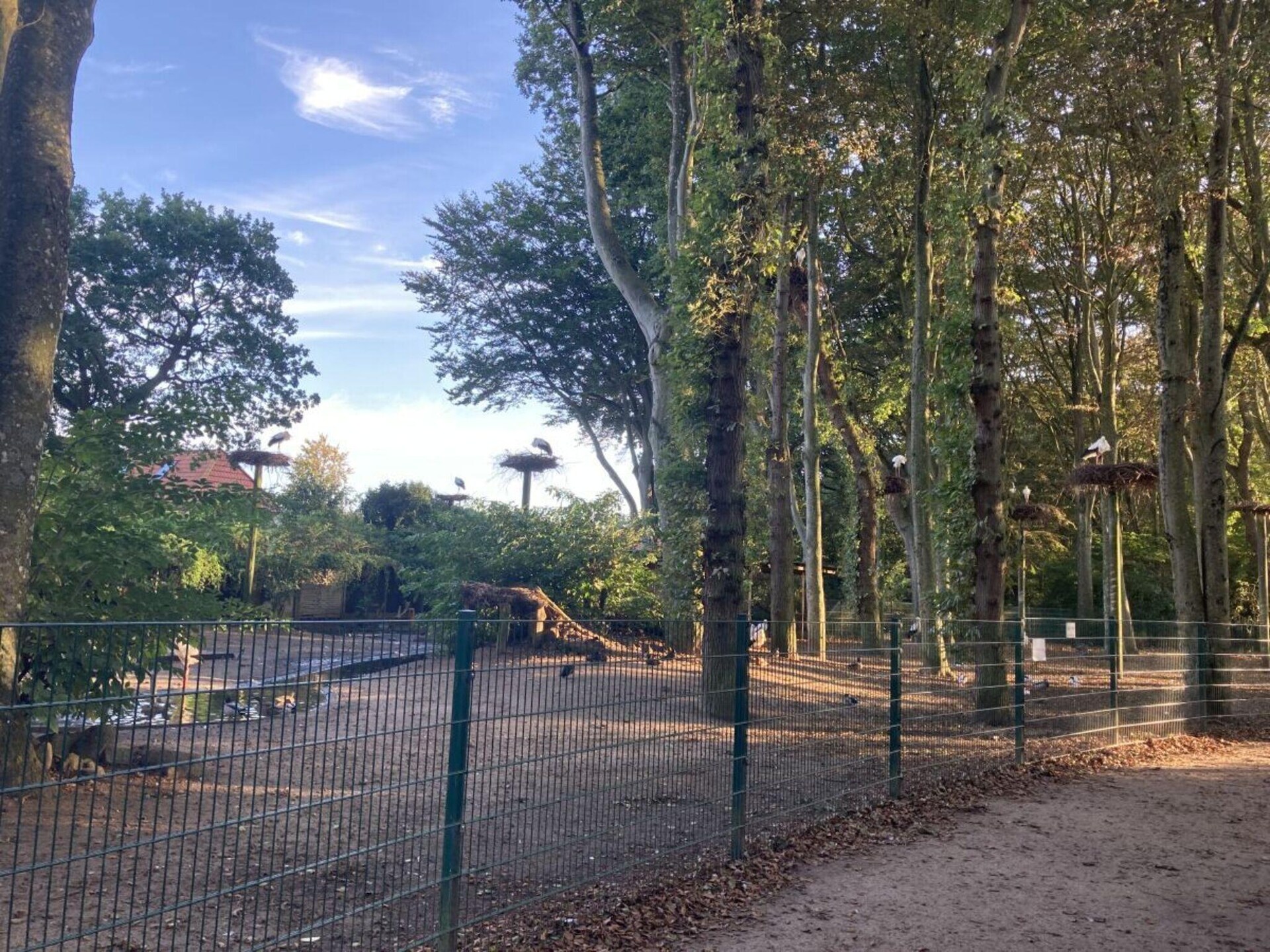 Gerenoveerd vakantiehuis met grote tuin en zuidterras nabij strand - foto 27