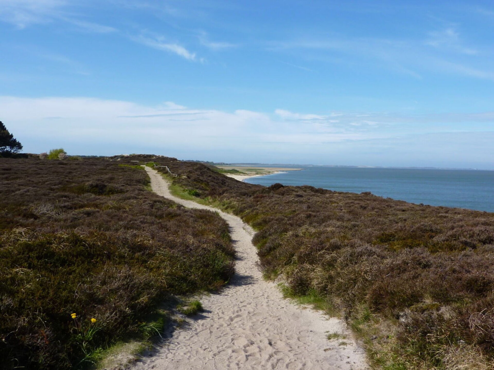 Gezellig vakantiehuis voor 2 personen op Sylt, op loopafstand van het strand - foto 13