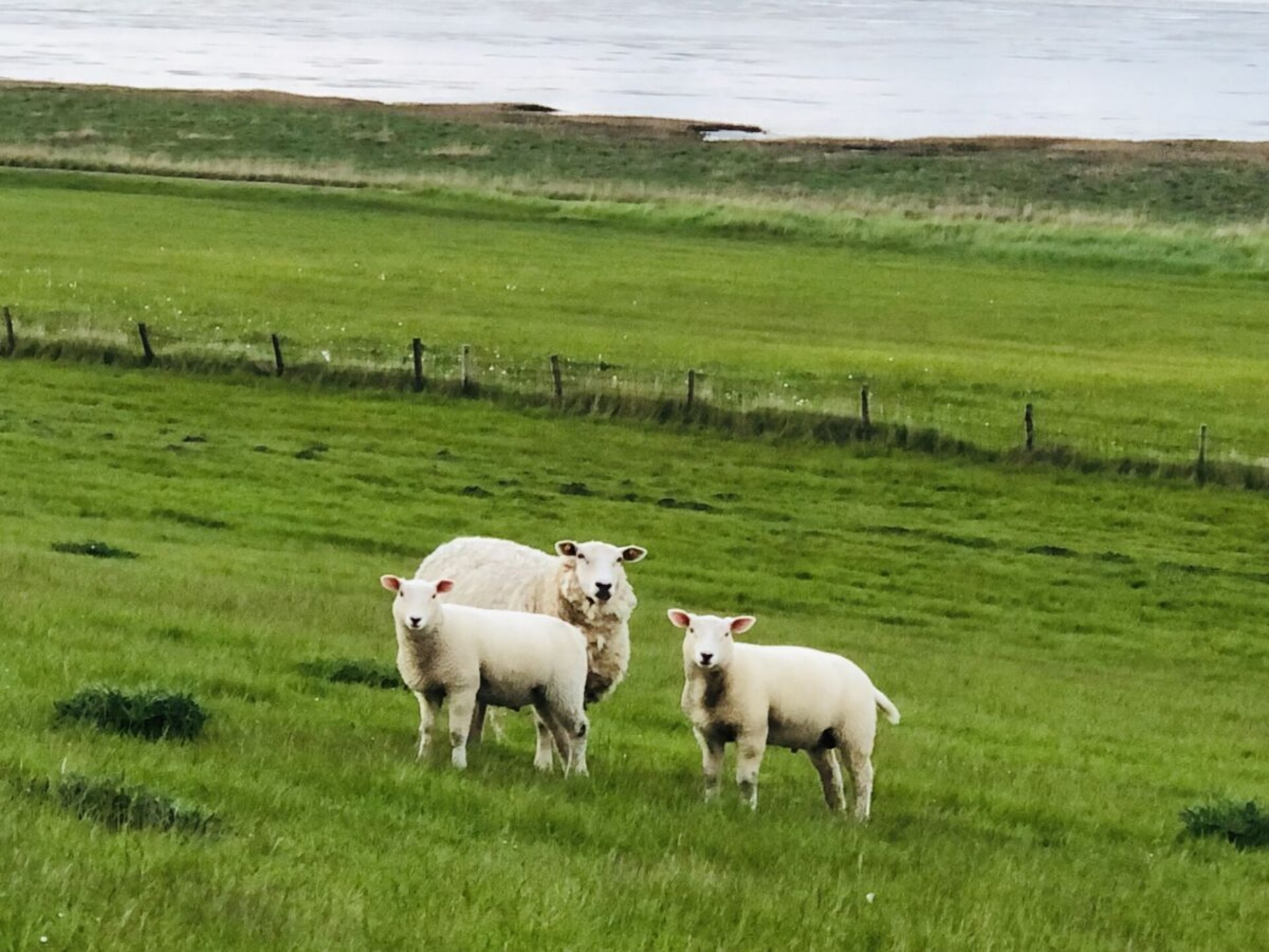 Luxe vakantiehuis met zonnige tuin op 1 km van Burhave - foto 37