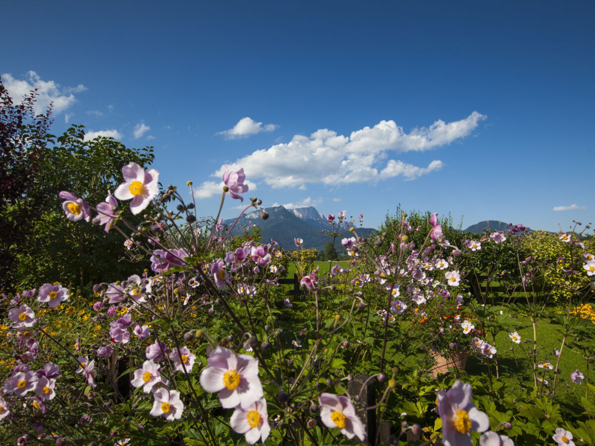 Romantisch vakantiehuis met alpenpanorama in Schönau am Königssee - foto 6