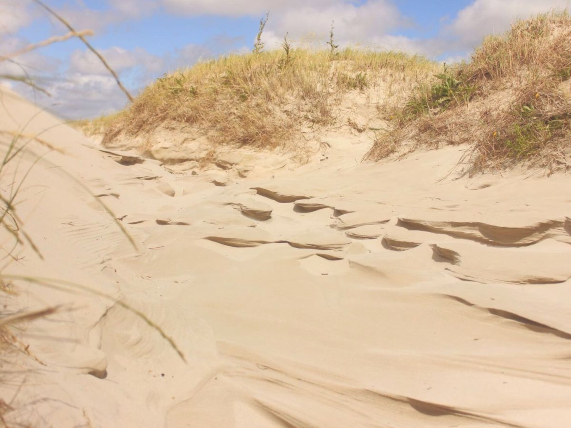3-persoons vakantiehuis in het centrum van St. Peter-Ording - foto 26