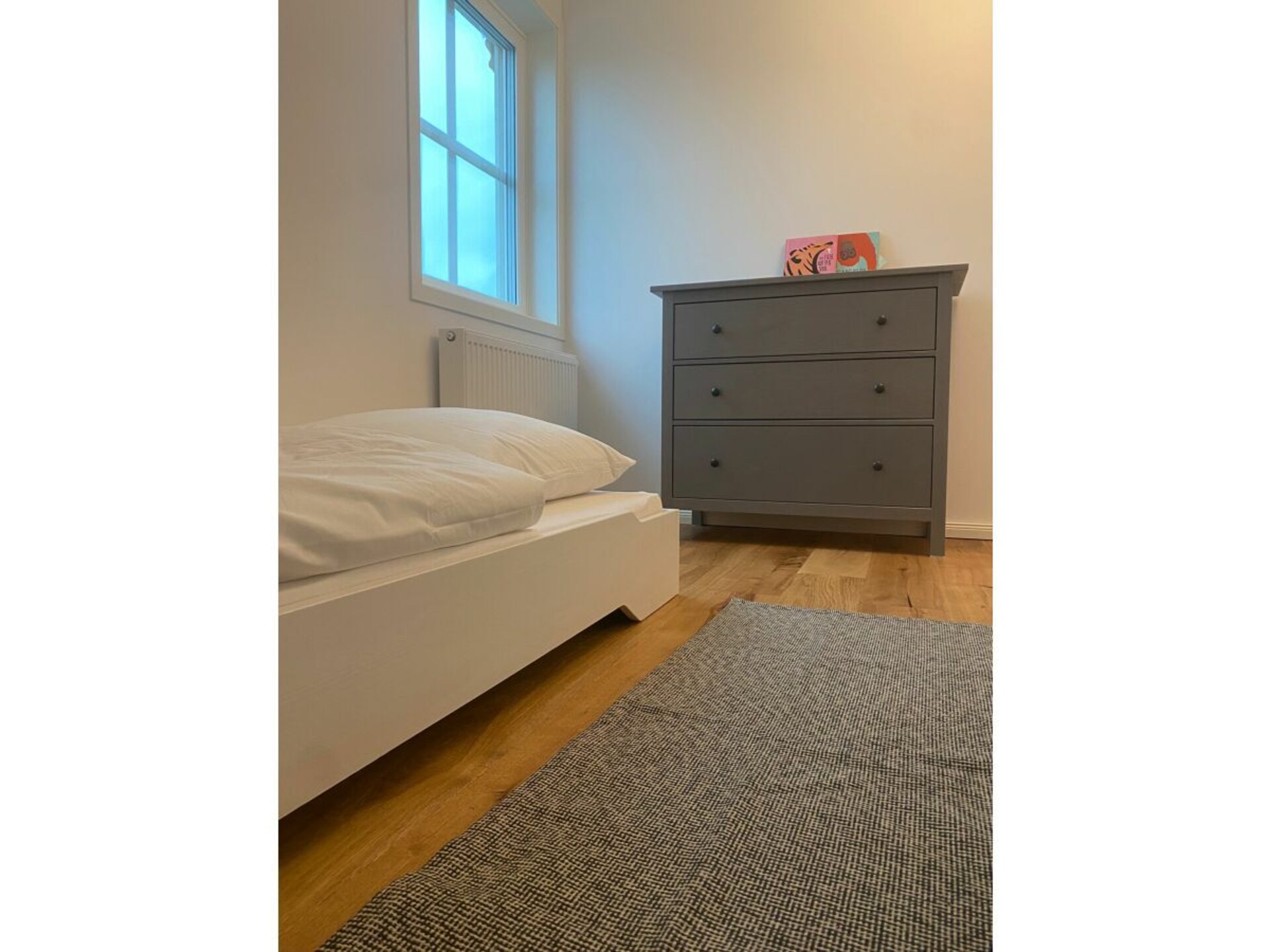 481558 - foto 12