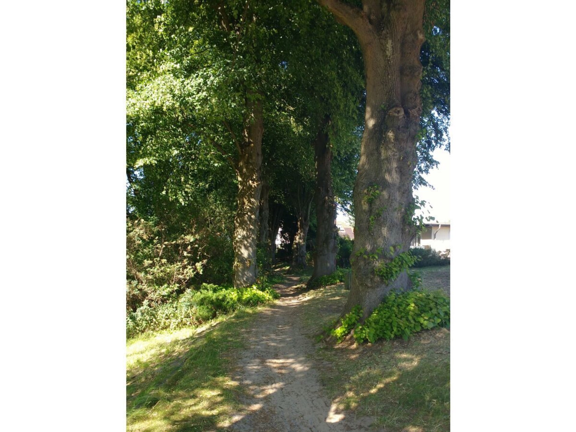 481558 - foto 27