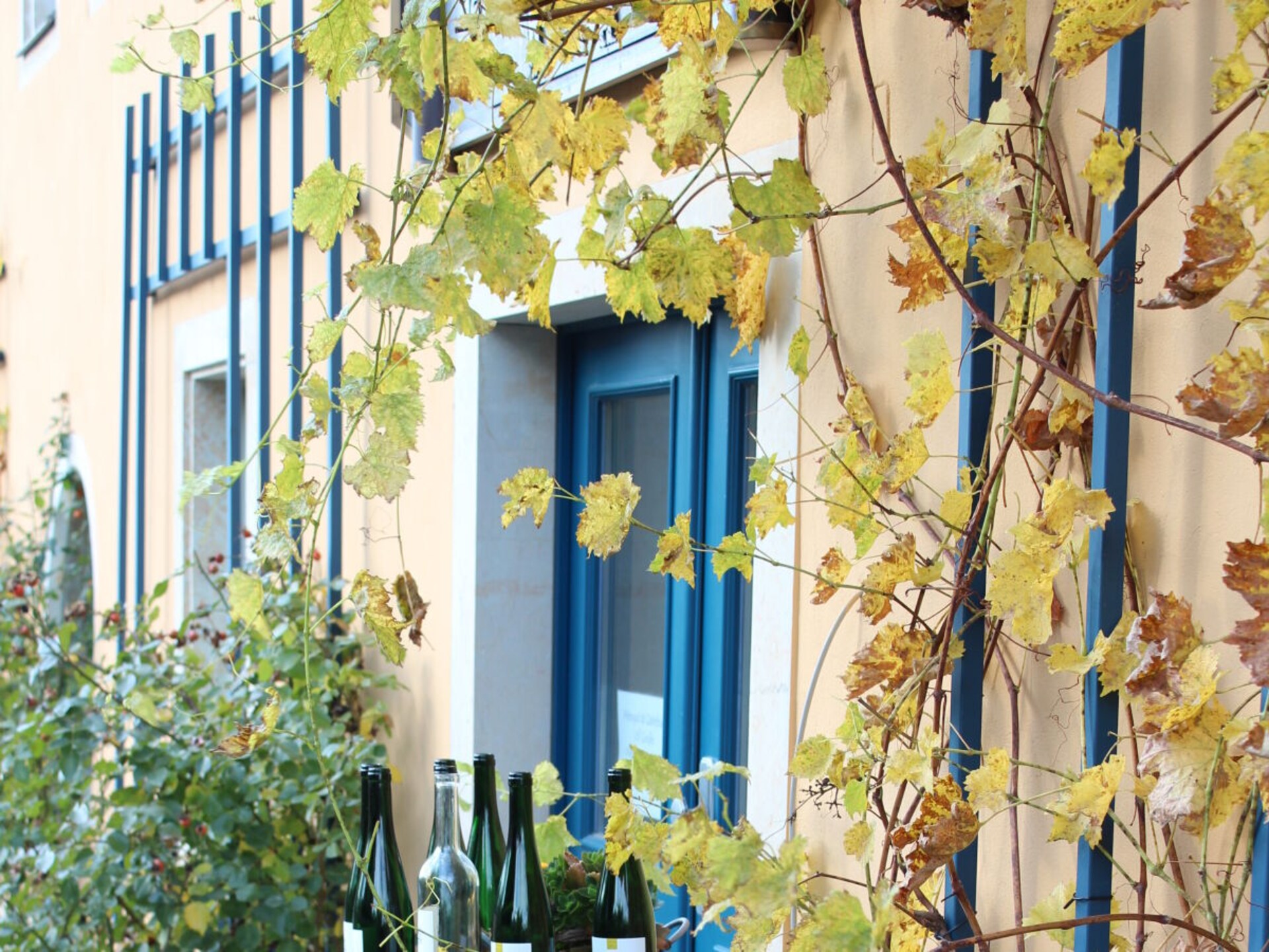 Verzorgd appartement met wijngaardzicht in Radebeul - foto 26