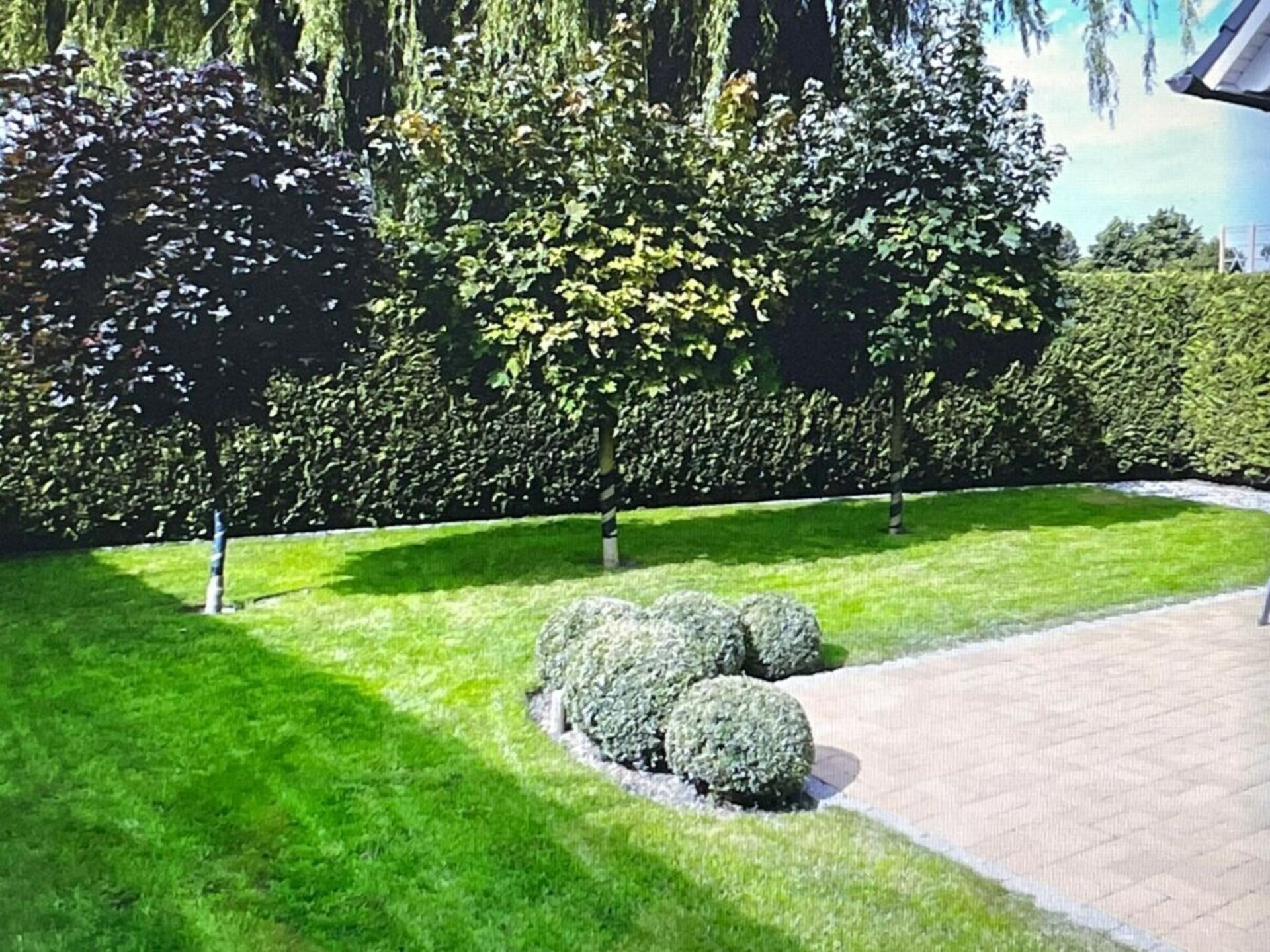 Licht vakantiehuis met grote tuin op 600m van de Oostzee in Zingst - foto 7