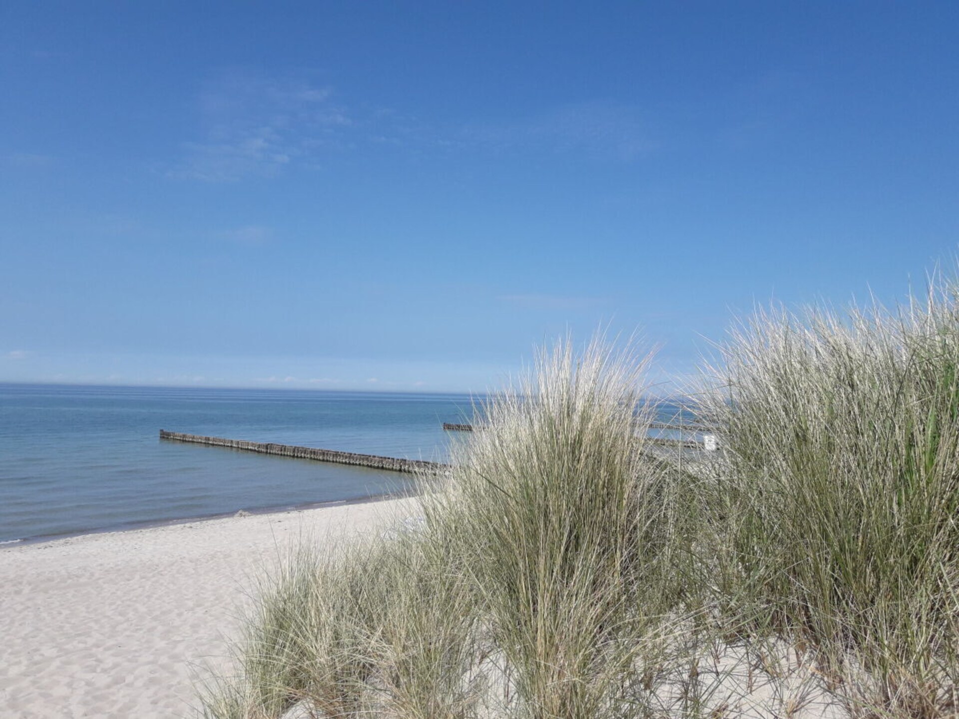 Licht vakantiehuis met grote tuin op 600m van de Oostzee in Zingst - foto 26