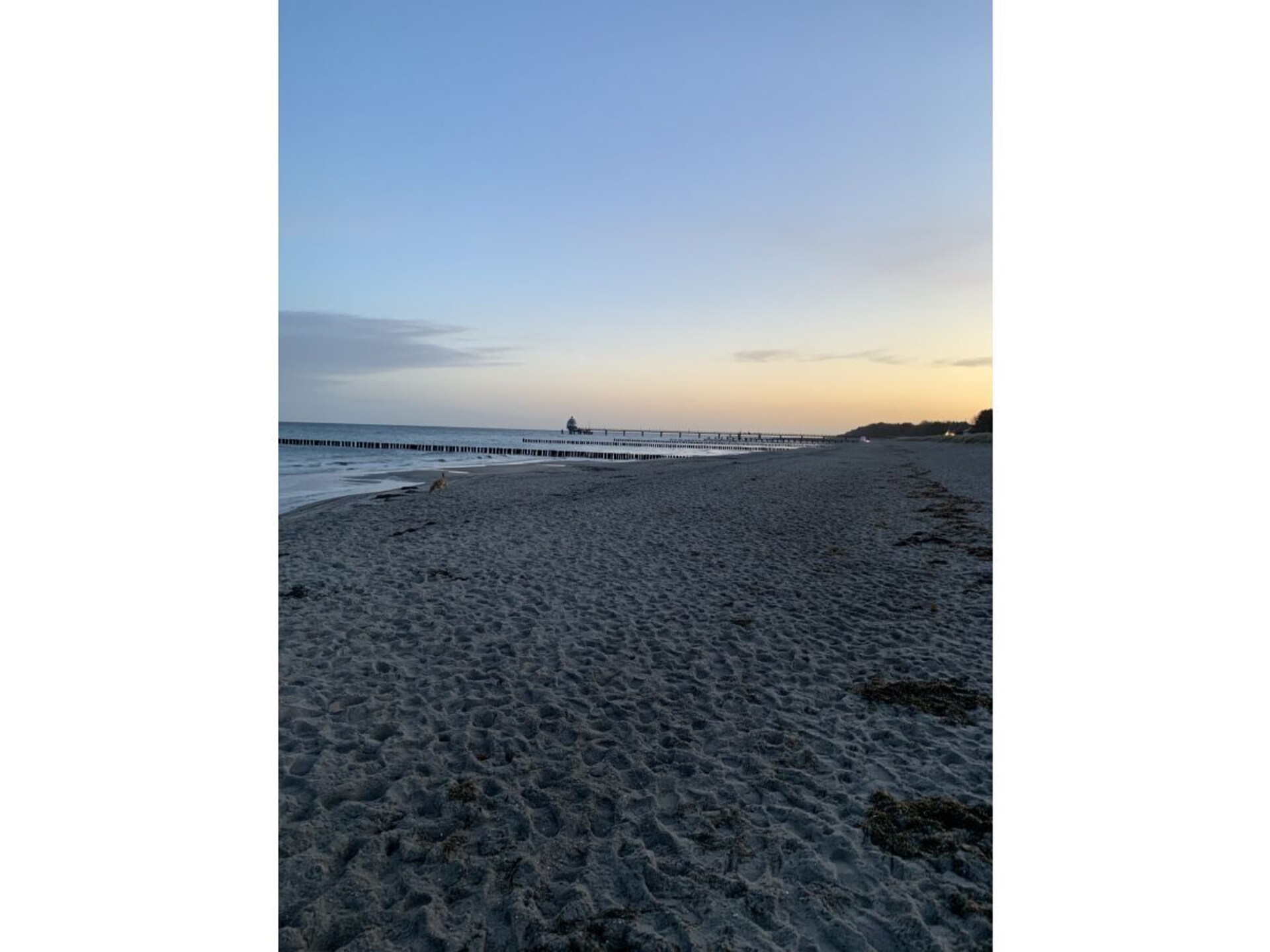 Licht vakantiehuis met grote tuin op 600m van de Oostzee in Zingst - foto 29