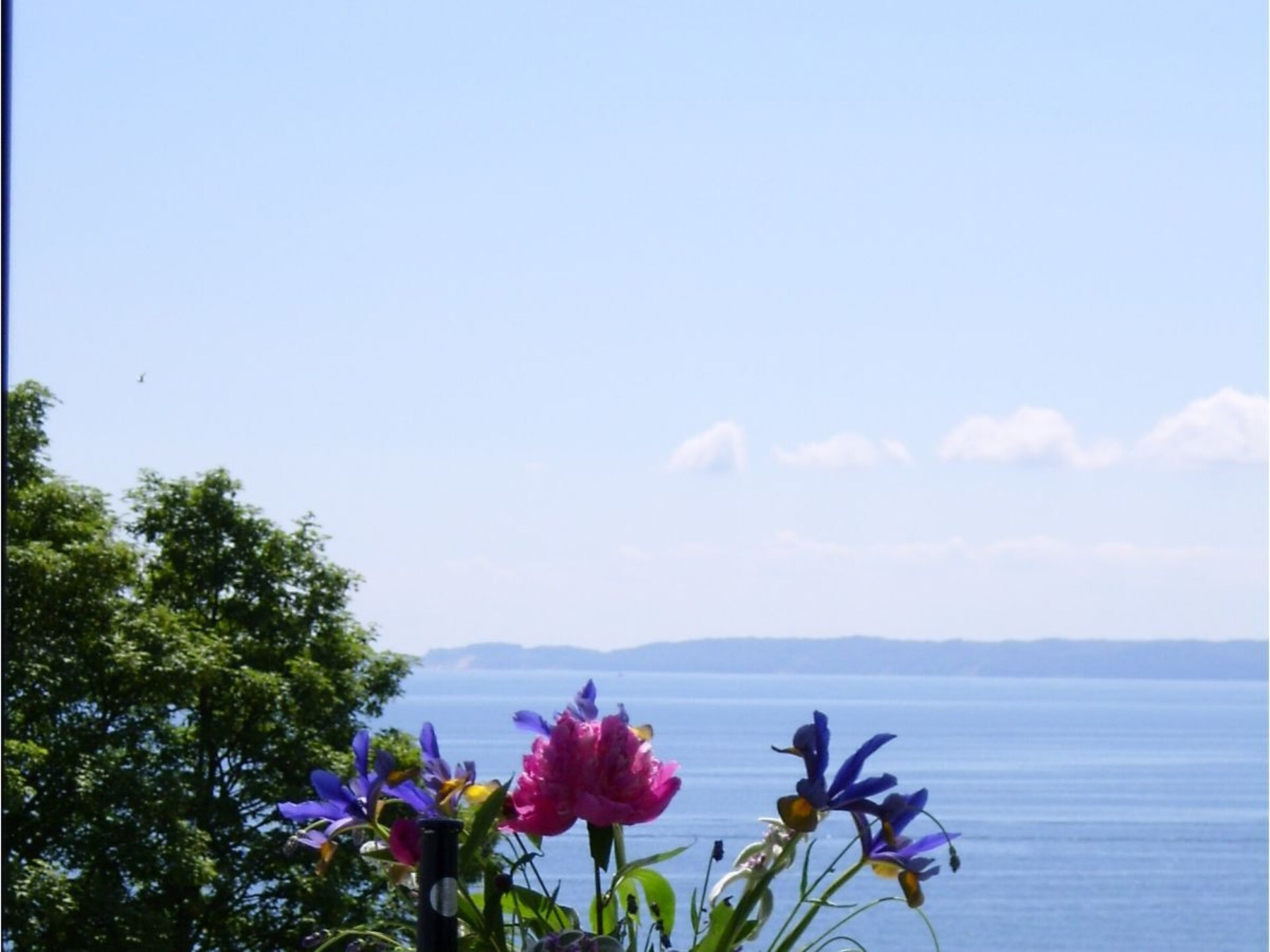 Comfortabel vakantiehuis in Sassnitz met panoramisch uitzicht op de Oostzee - foto 9