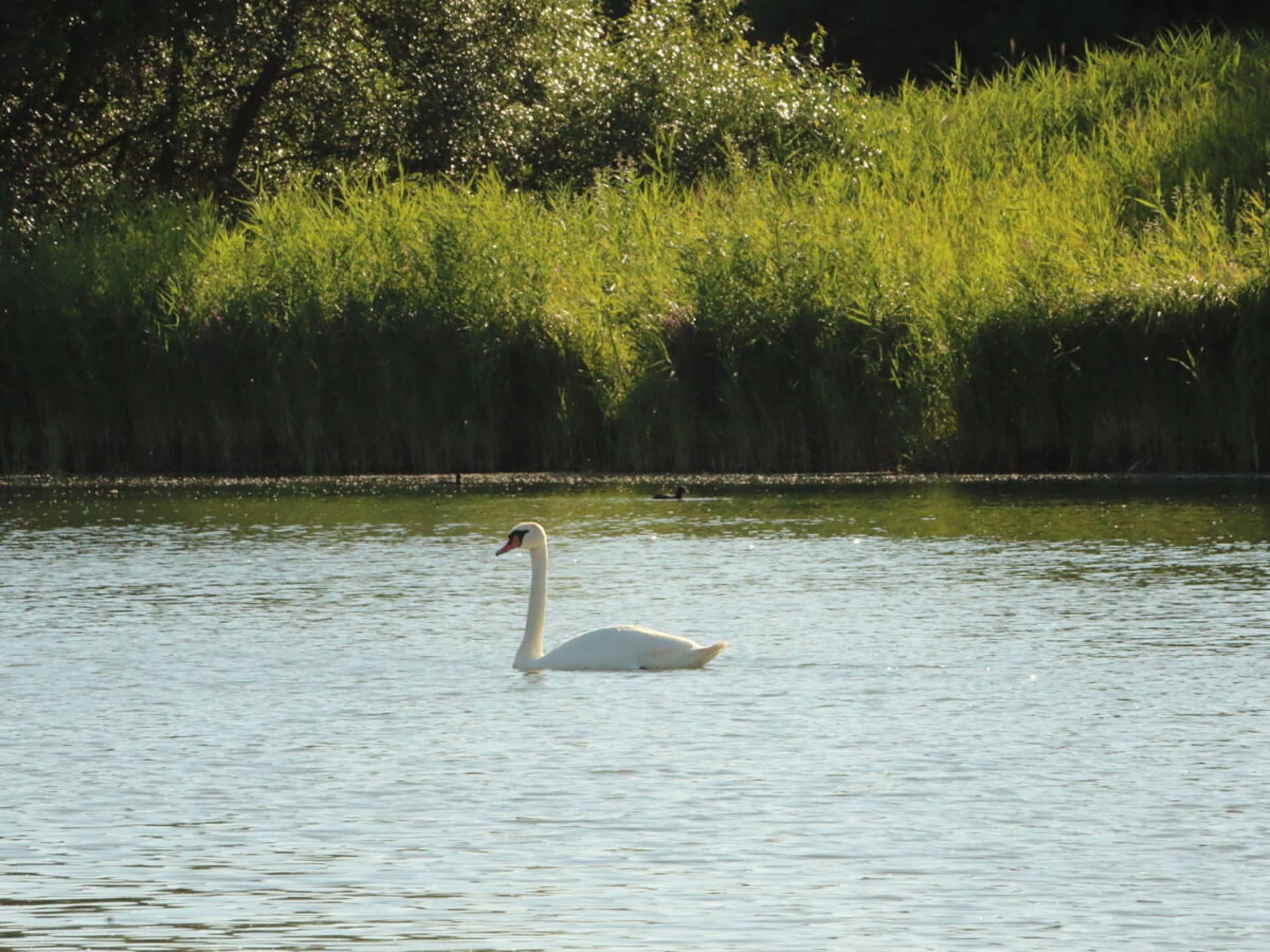 Knus vakantiehuis op 500 meter van de Waddenzee in Otterndorf - foto 19