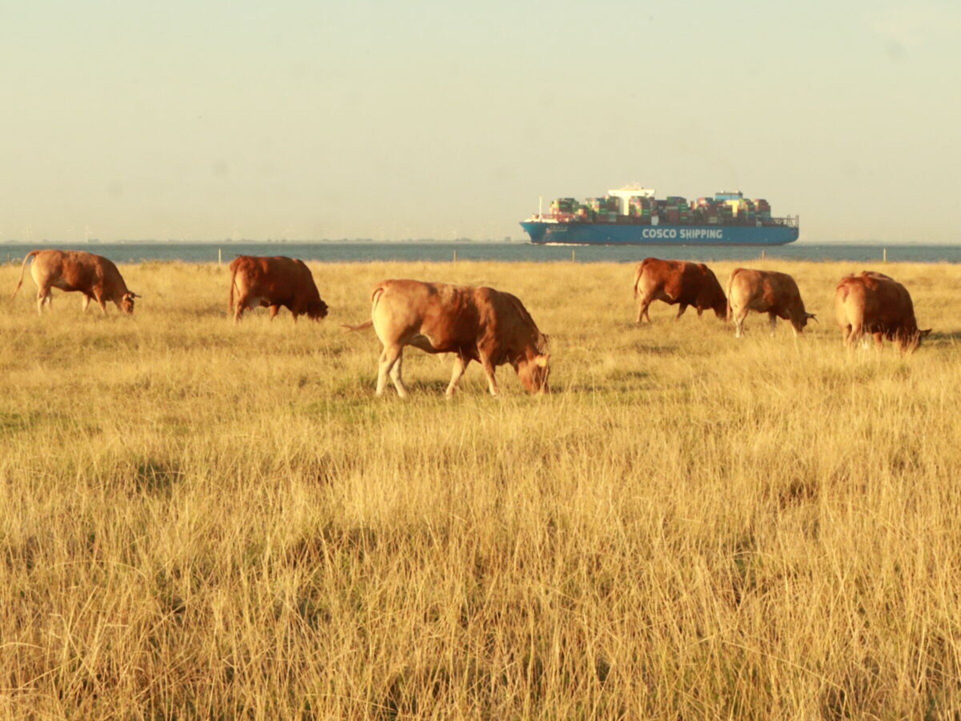 Knus vakantiehuis op 500 meter van de Waddenzee in Otterndorf - foto 26