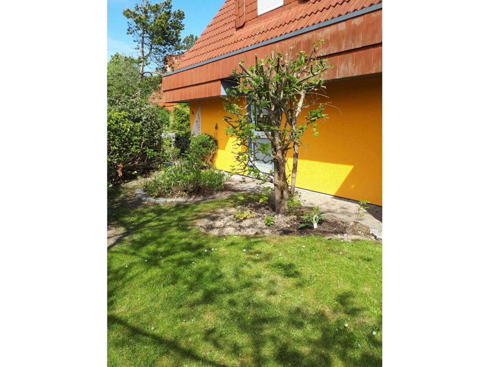 Op 600m van het centrum: ruim vakantiehuis in Dorum-Neufeld - foto 3