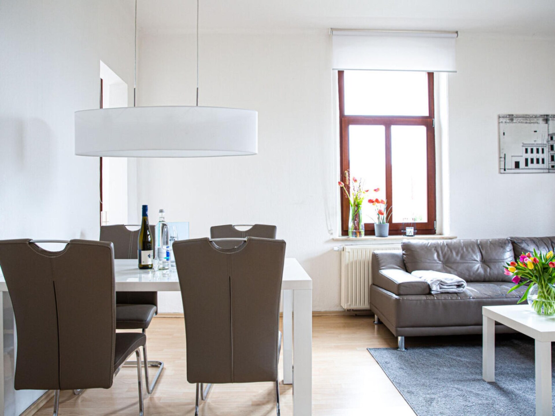 3-persoons vakantiehuis in het centrum van Radebeul - foto 8