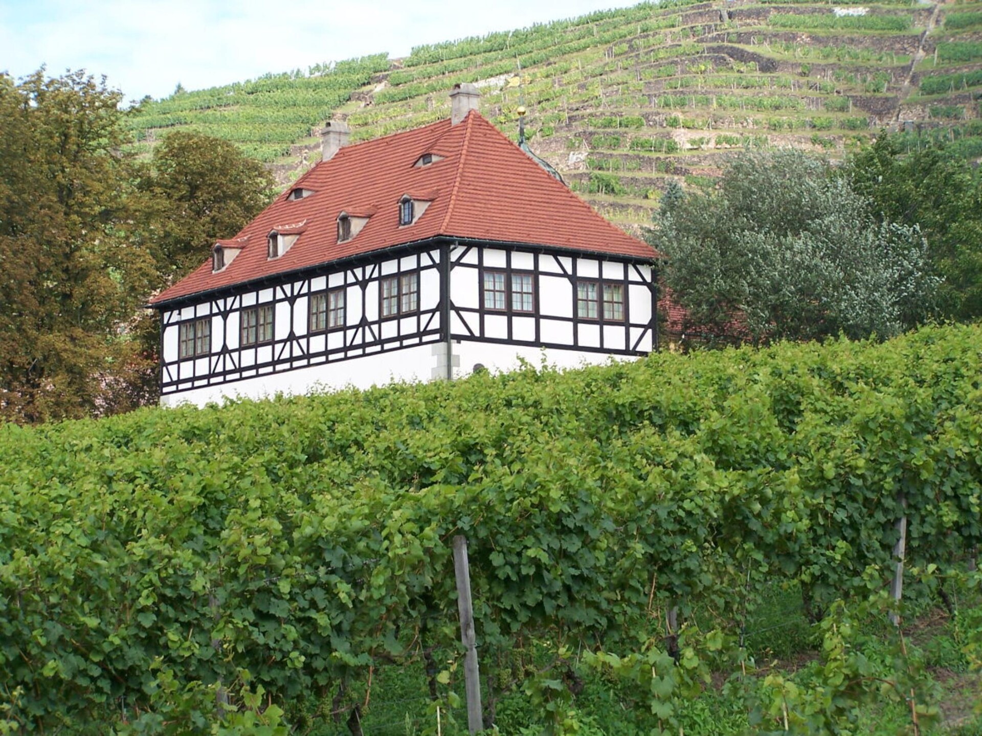 3-persoons vakantiehuis in het centrum van Radebeul - foto 4