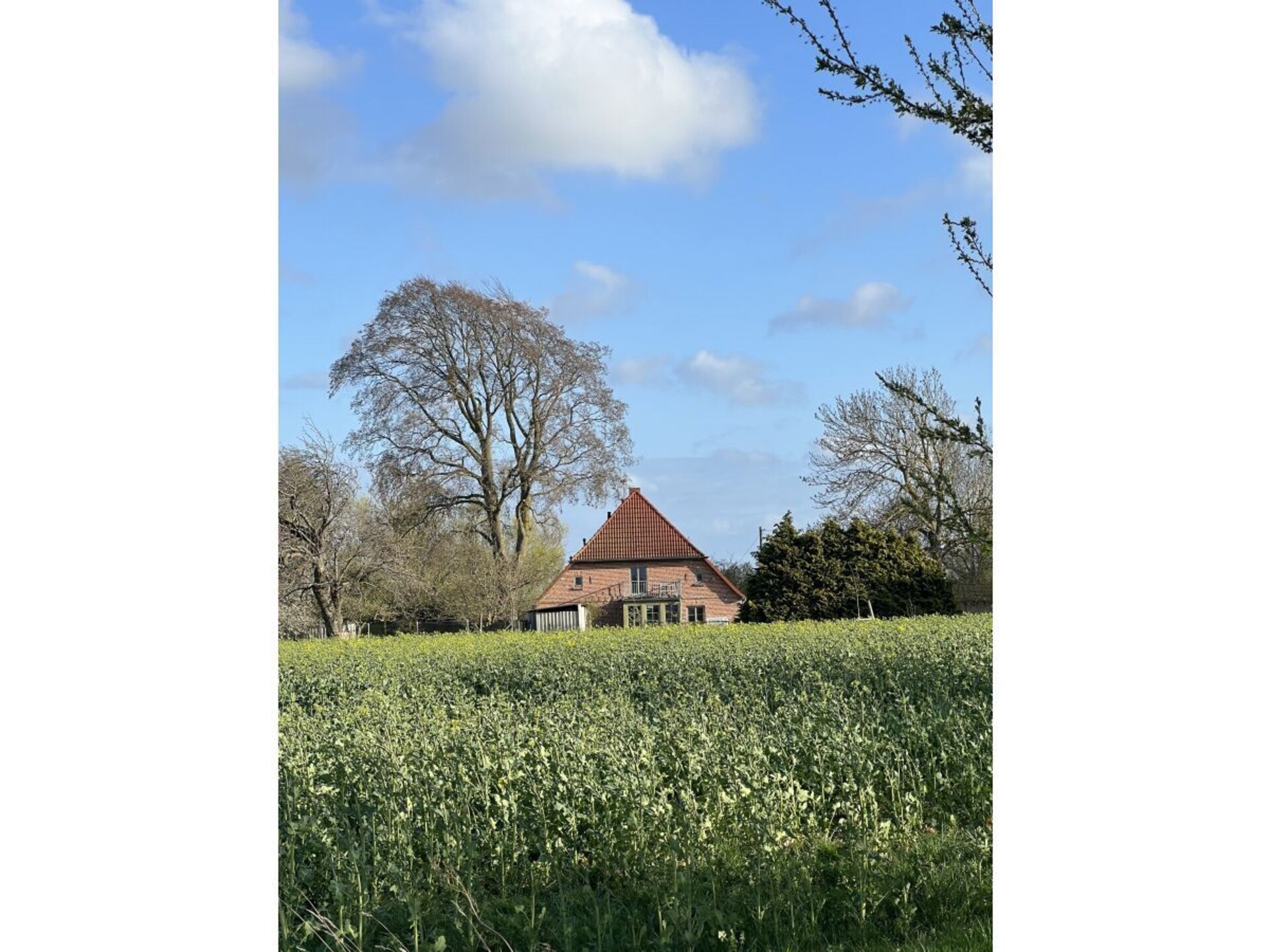 Stijlvol gerenoveerd boerderijappartement uit 1840 aan de baai van Ummanz - foto 11