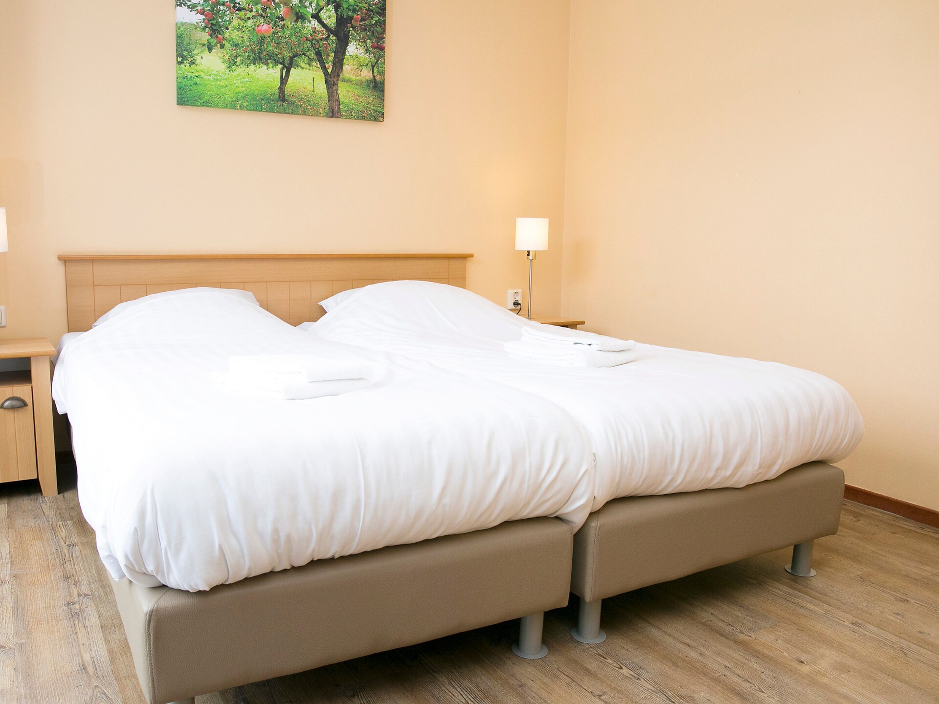 Comfort bungalow – max 4 personen – Nummer 84 - foto 3