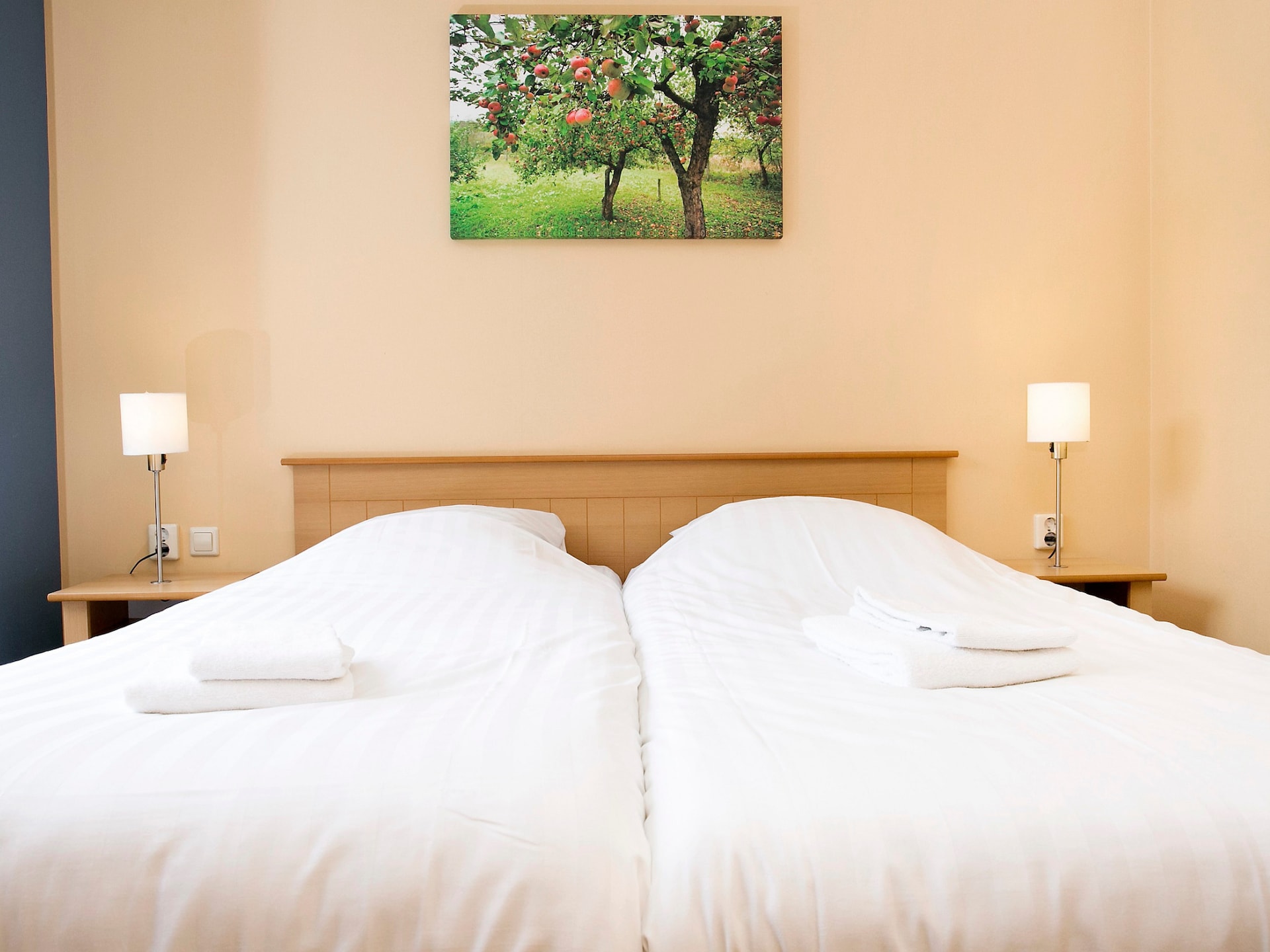 Comfort bungalow – max 4 personen – Nummer 84 - foto 9
