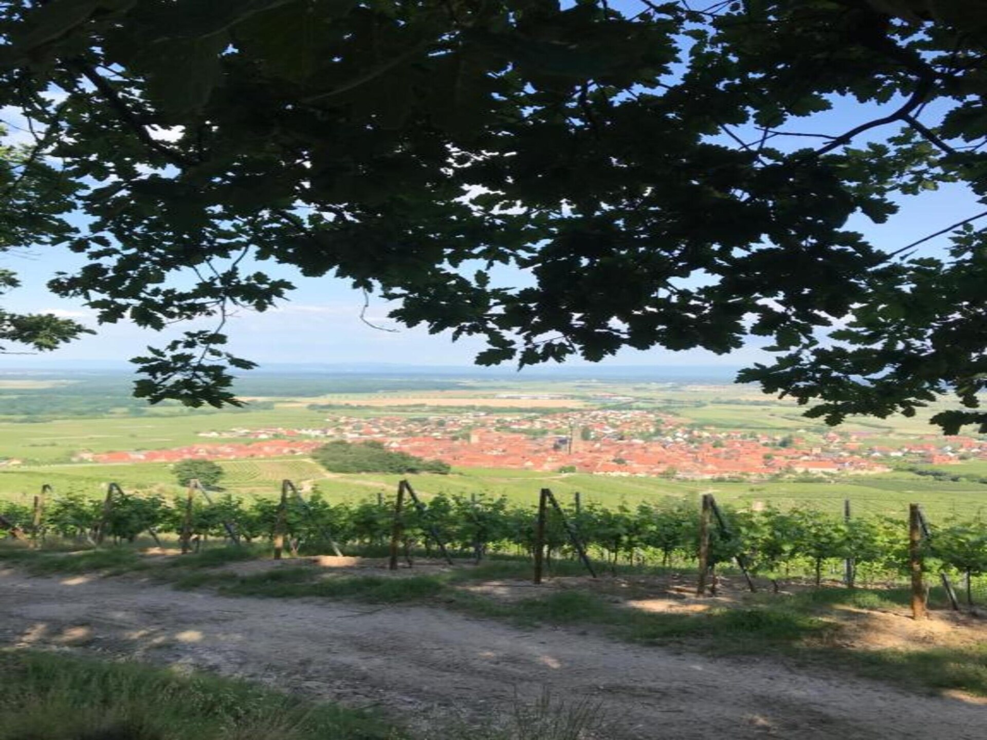 Romantisch gerenoveerd appartement in Dambach-la-Ville met balkon - foto 31