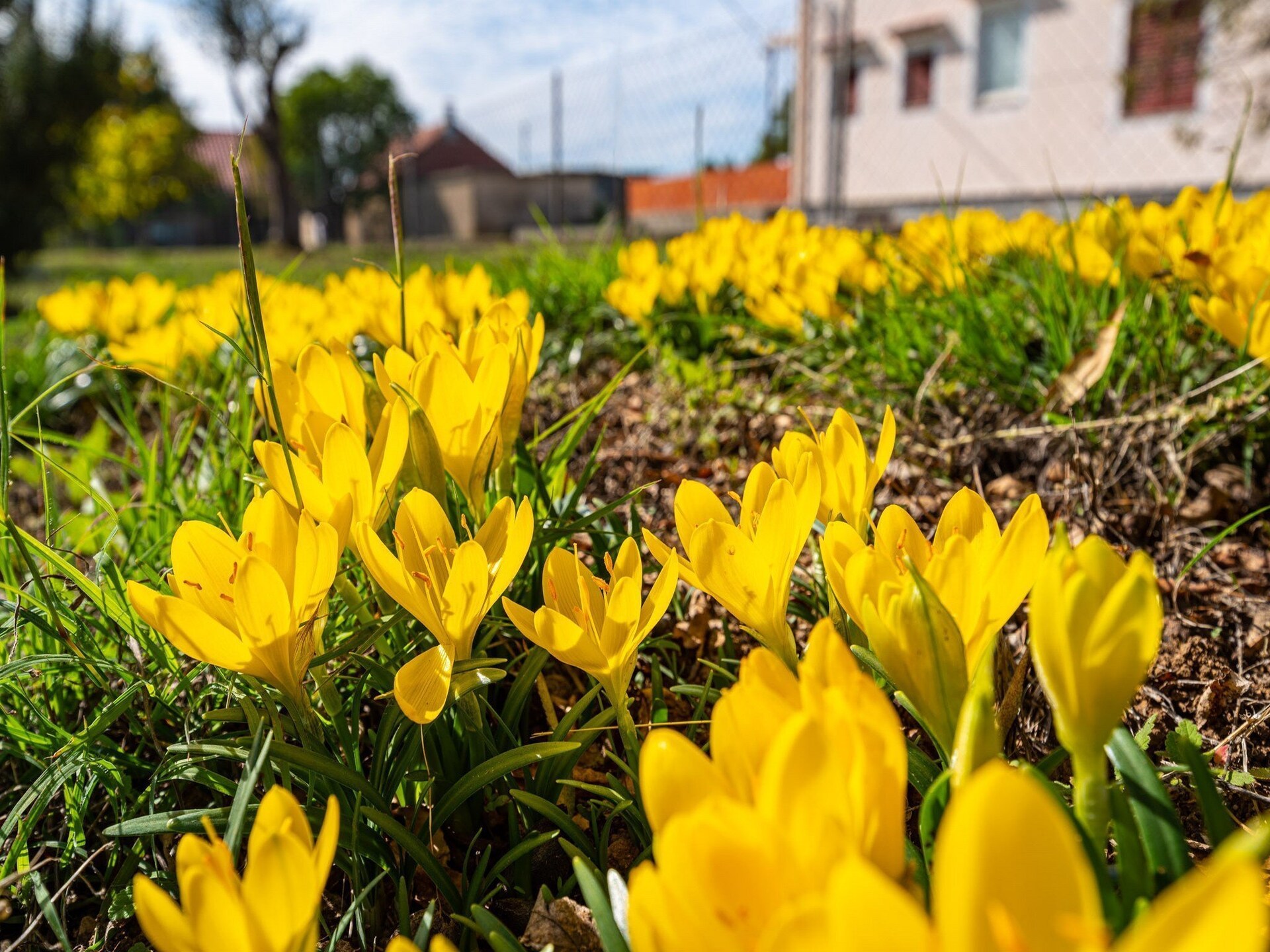 Ruime Vijf-Slaapkamer Villa met Verwarmd Zwembad bij Zadar - foto 24