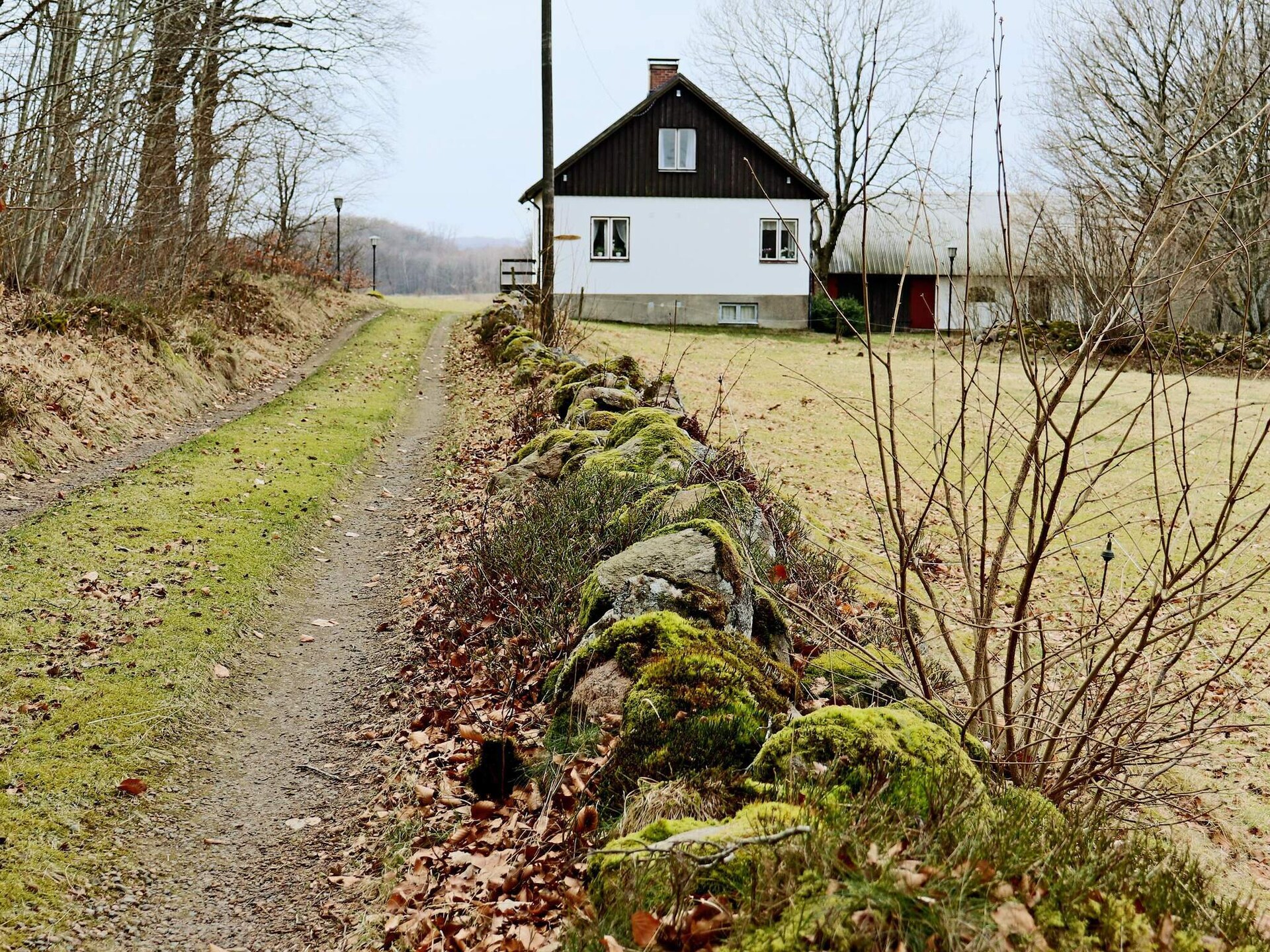 Ruim vakantiehuis voor 9 personen op het schiereiland Bjäre in Båstad - foto 7