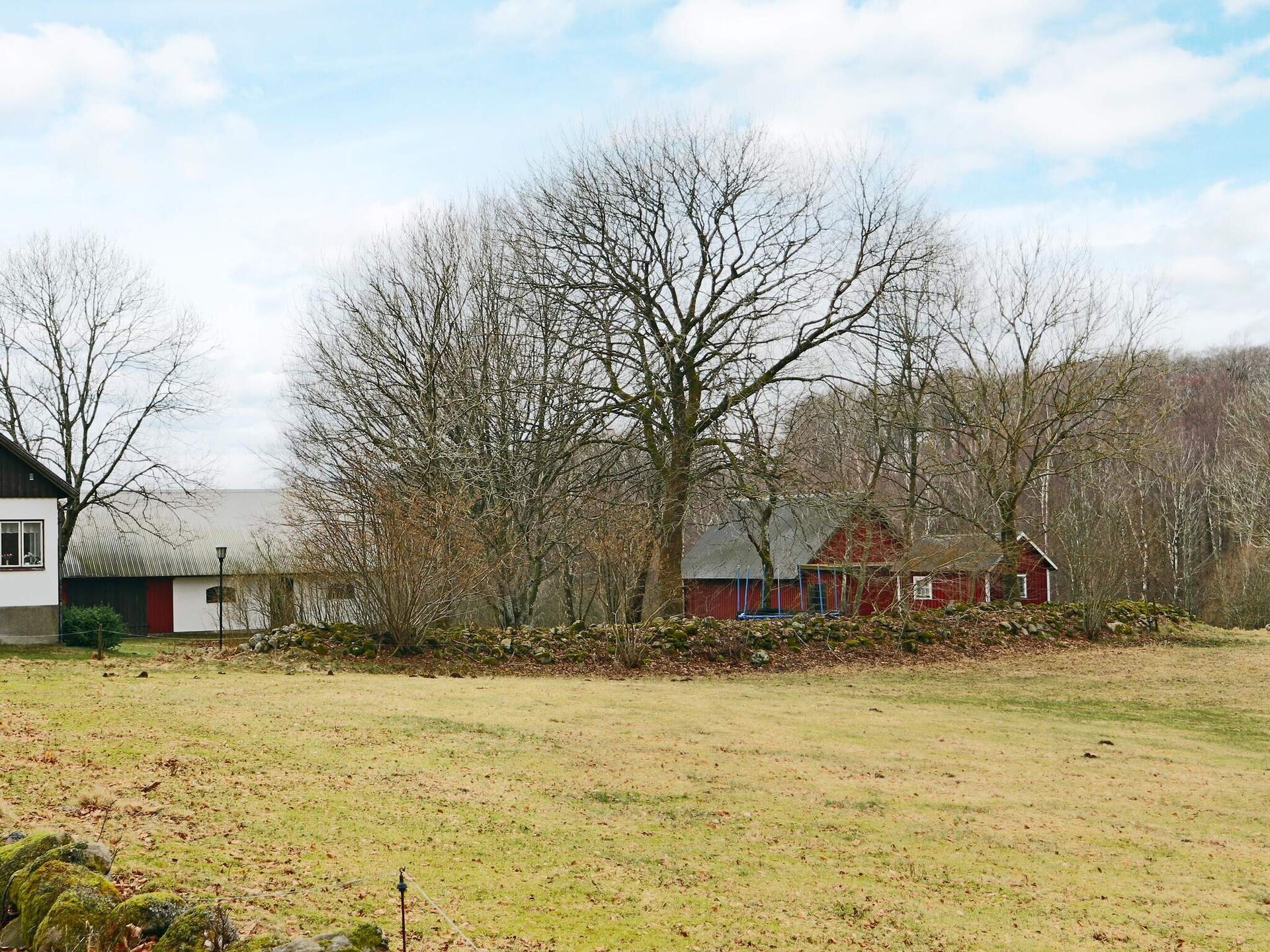 Ruim vakantiehuis voor 9 personen op het schiereiland Bjäre in Båstad - foto 11