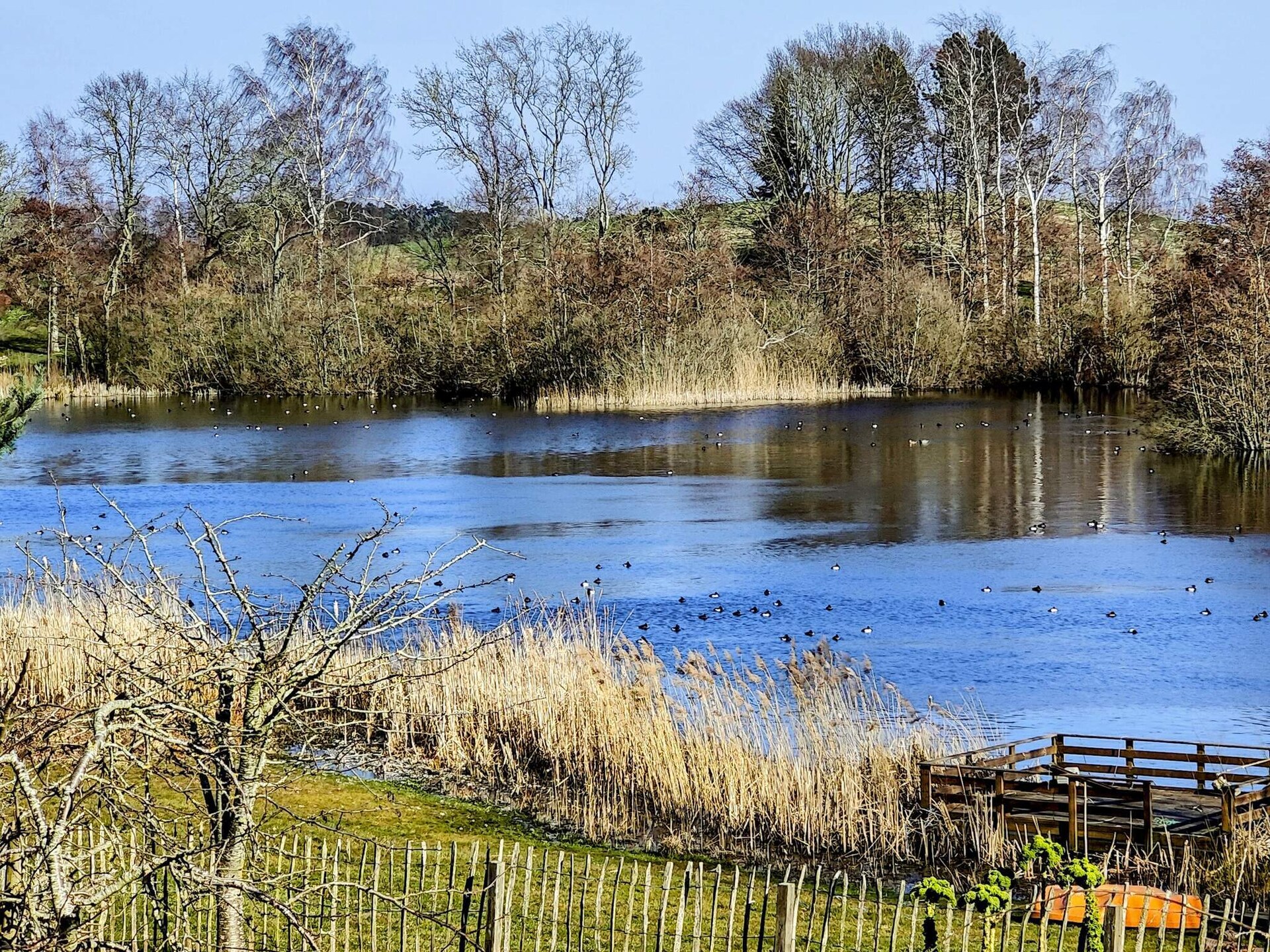 Aan zee: Rustgevend vakantiehuis in Skibby met sauna en whirlpool - foto 14