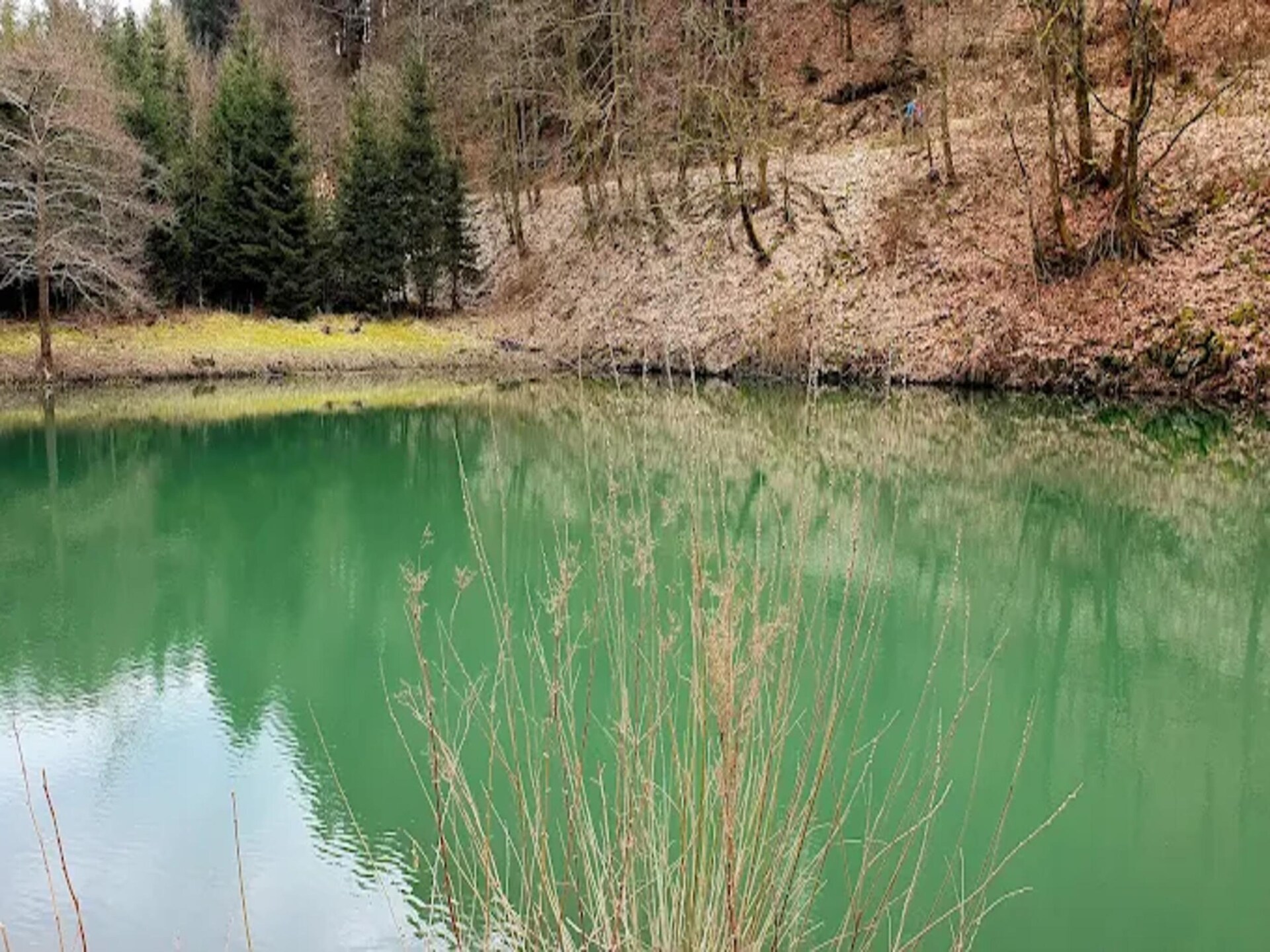 Scandinavisch appartement met uitzicht op het groen in Winterberg - foto 29