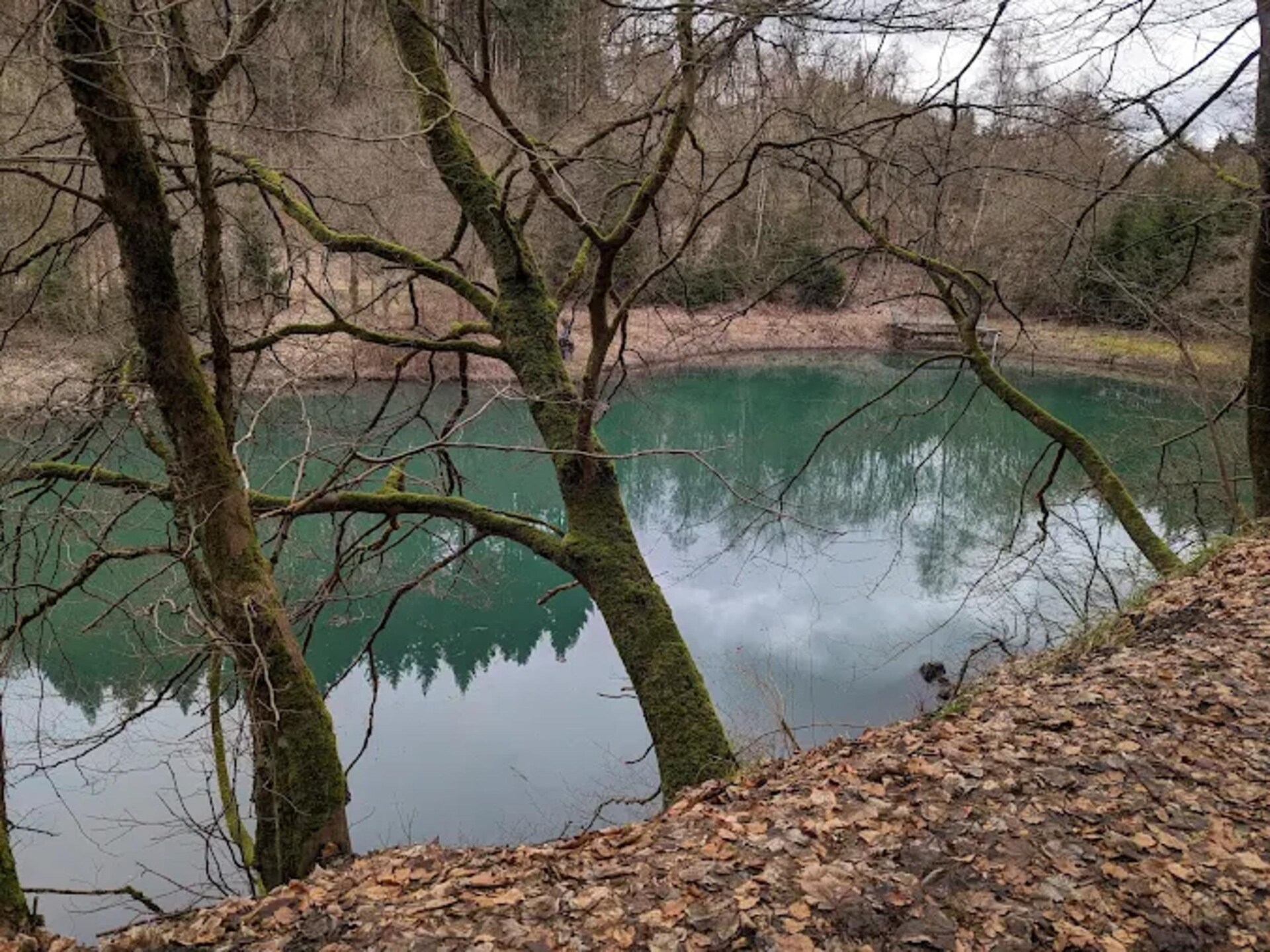 Scandinavisch appartement met uitzicht op het groen in Winterberg - foto 35