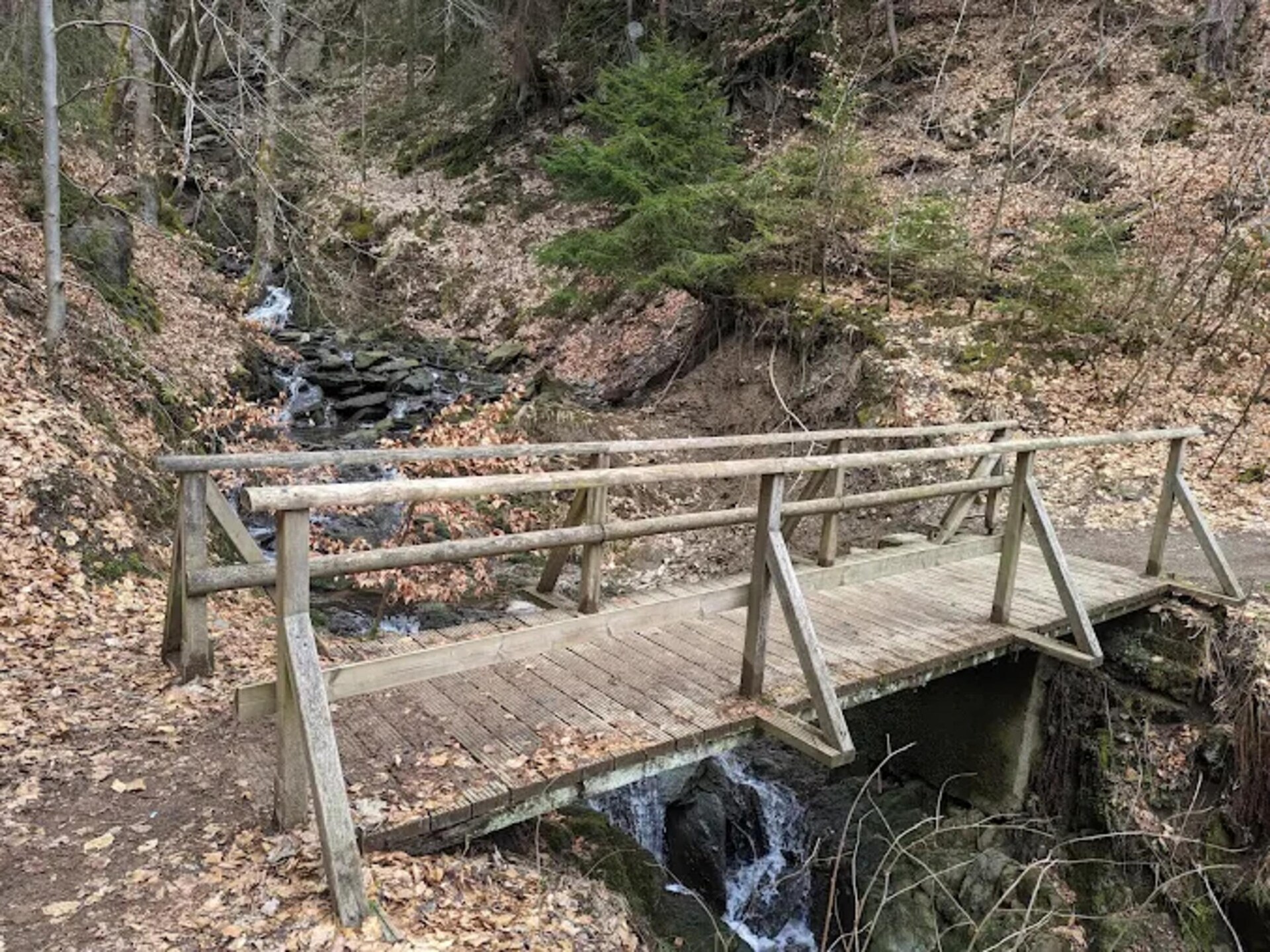 Scandinavisch appartement met uitzicht op het groen in Winterberg - foto 19