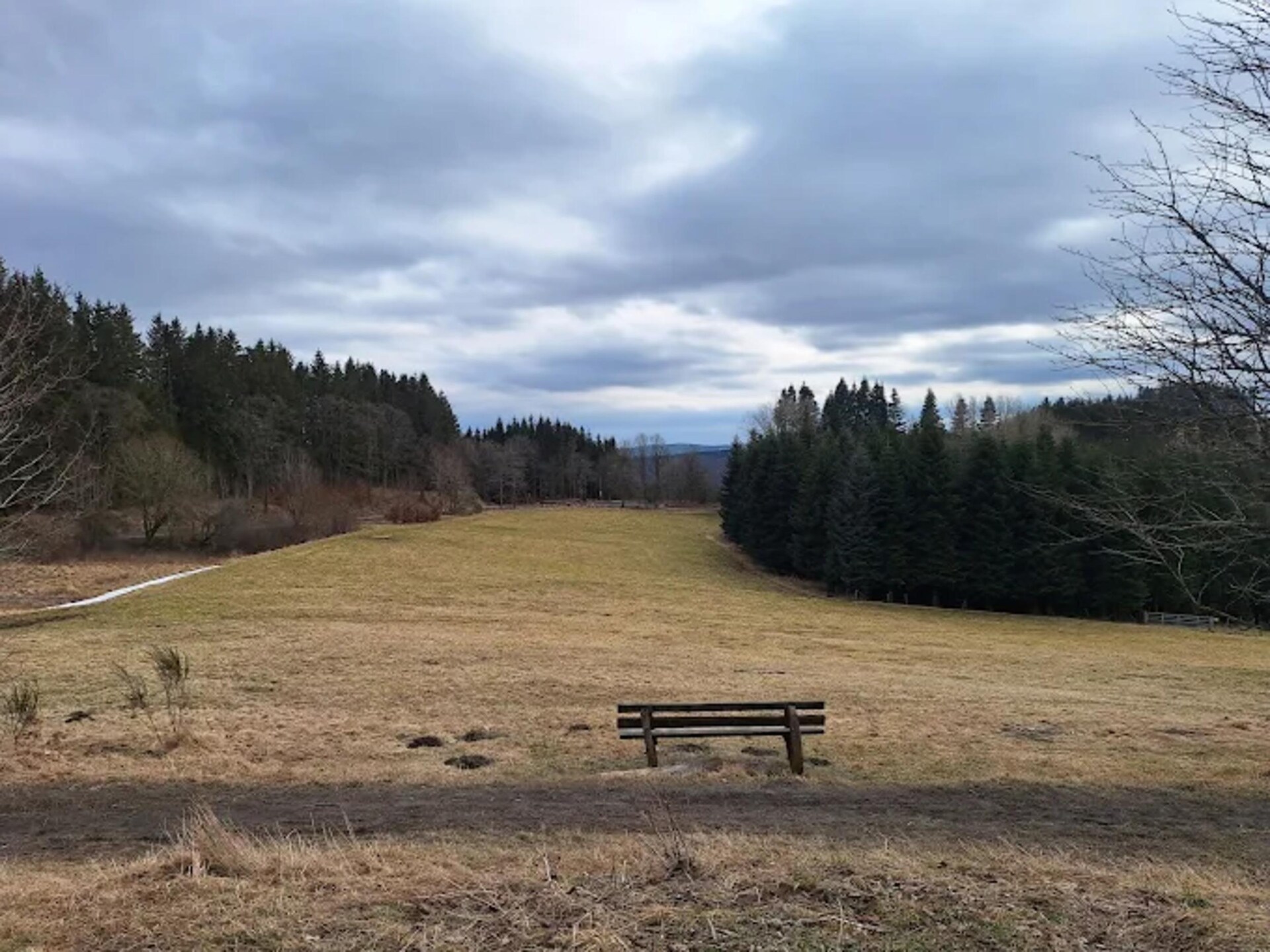 Scandinavisch appartement met uitzicht op het groen in Winterberg - foto 18