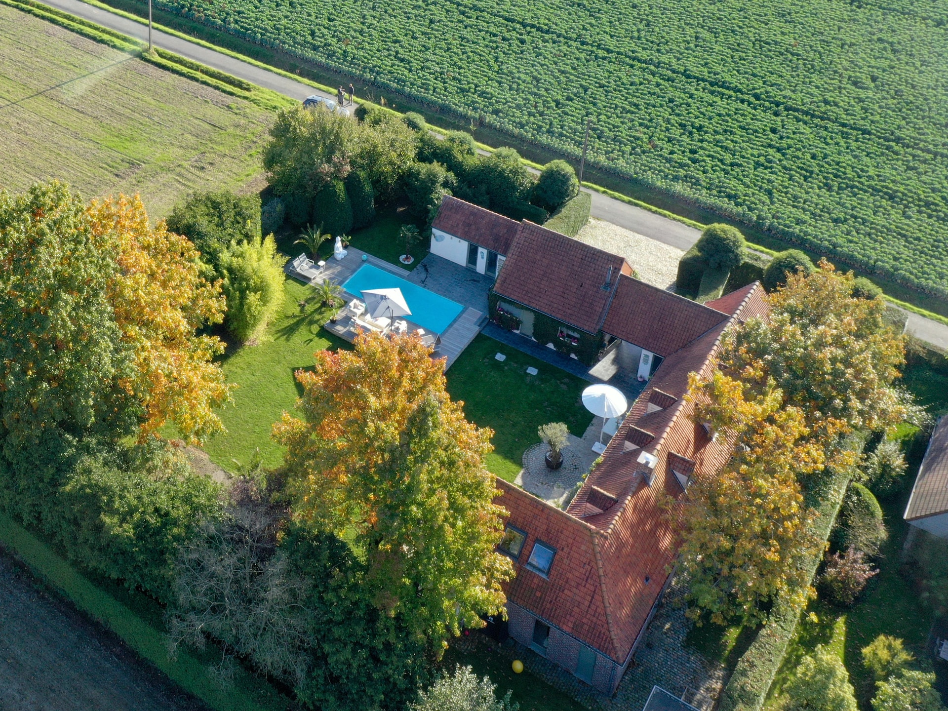 Privézwembad bij authentieke 8-persoonsvilla in Kortrijk - foto 13