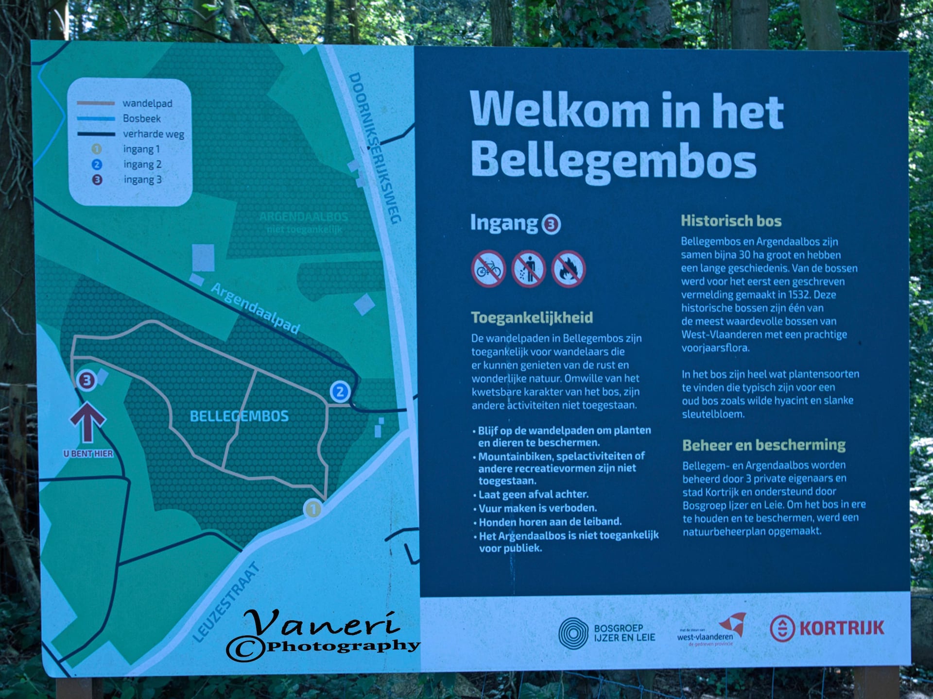Privézwembad bij authentieke 8-persoonsvilla in Kortrijk - foto 32
