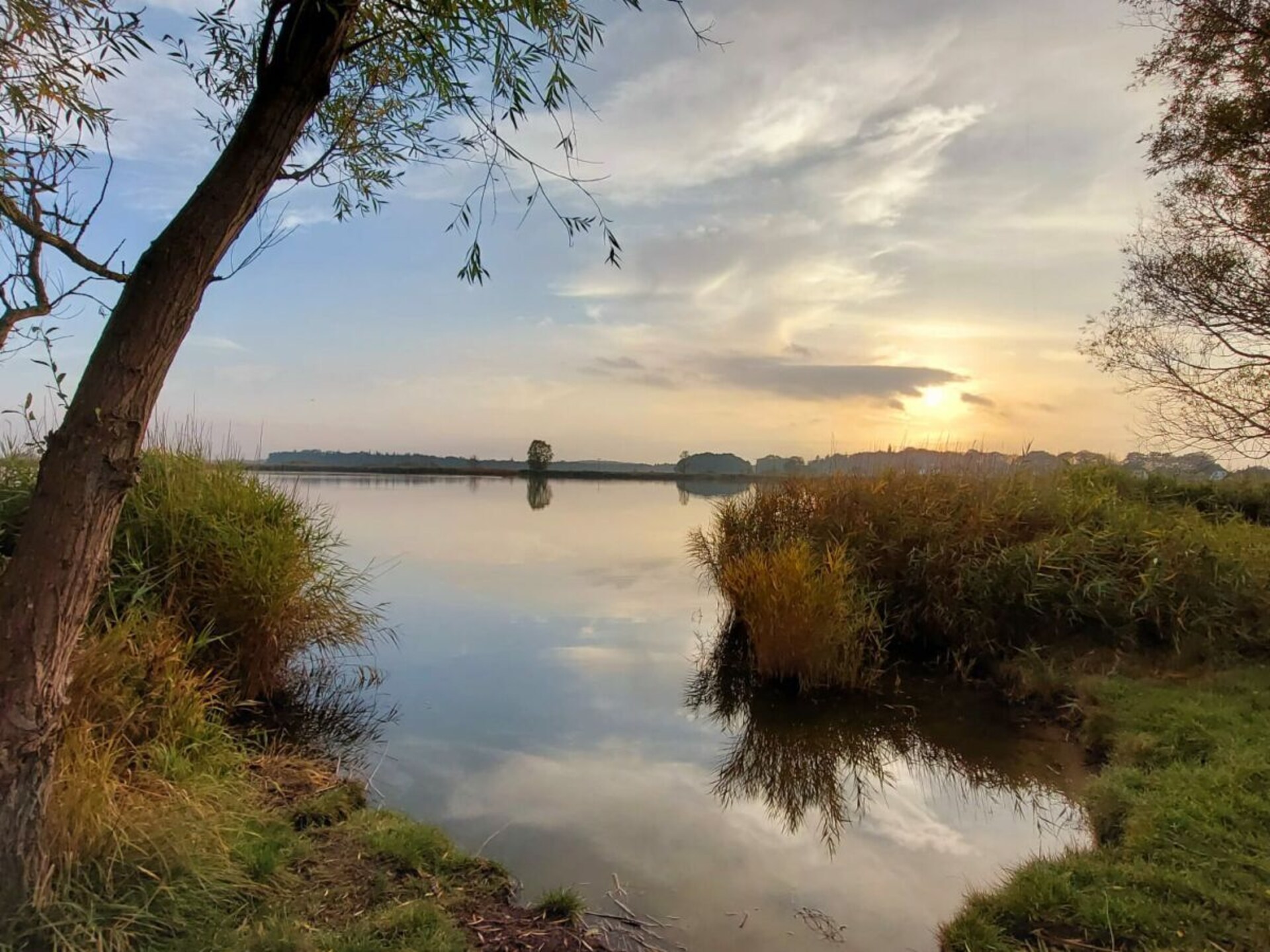 Stijlvol rietgedekt vakantiehuis met sauna aan de Achterwasser in Zinnowitz - foto 42