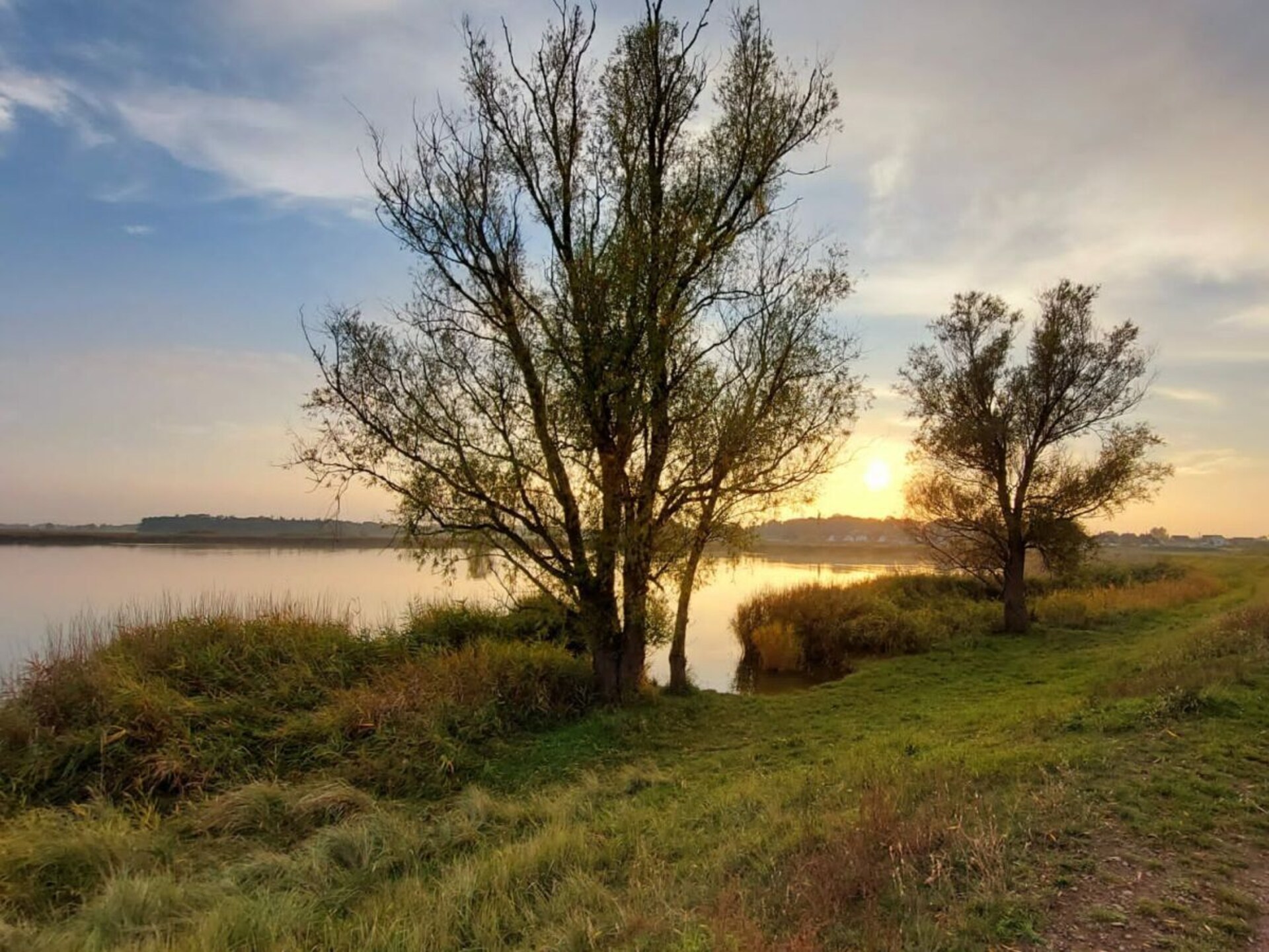 Stijlvol rietgedekt vakantiehuis met sauna aan de Achterwasser in Zinnowitz - foto 41