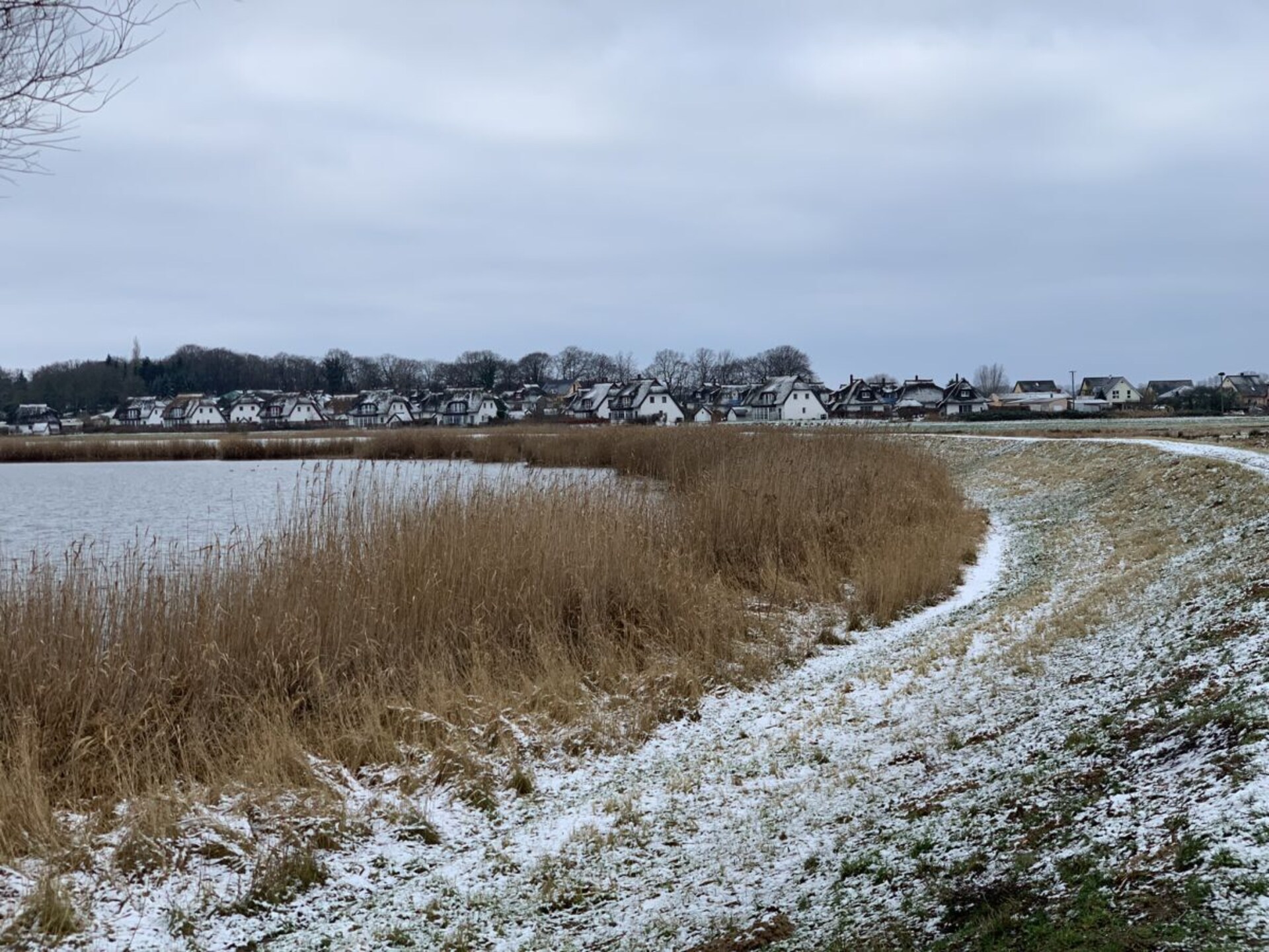 Stijlvol rietgedekt vakantiehuis met sauna aan de Achterwasser in Zinnowitz - foto 34