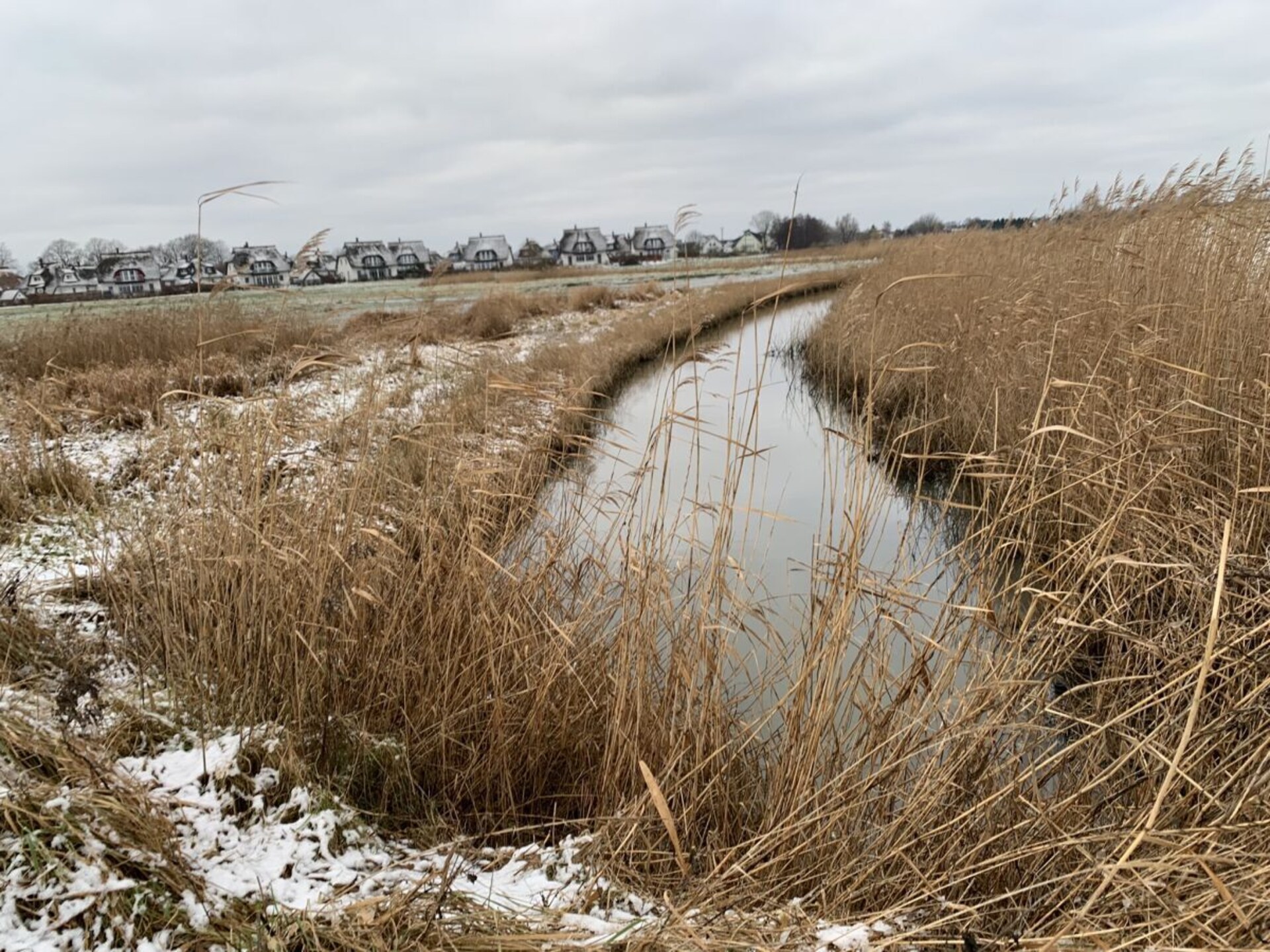 Stijlvol rietgedekt vakantiehuis met sauna aan de Achterwasser in Zinnowitz - foto 32
