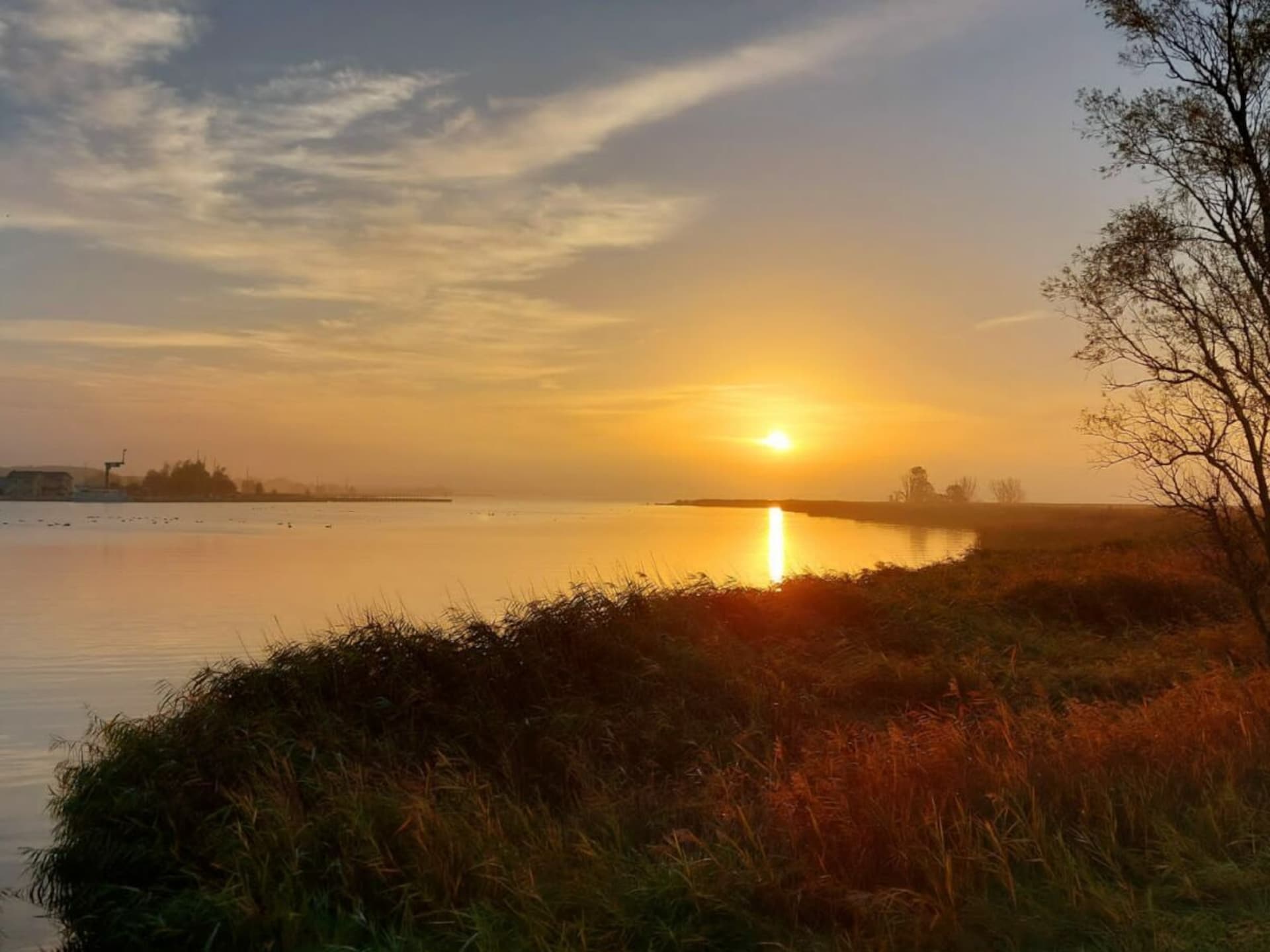 Stijlvol rietgedekt vakantiehuis met sauna aan de Achterwasser in Zinnowitz - foto 31