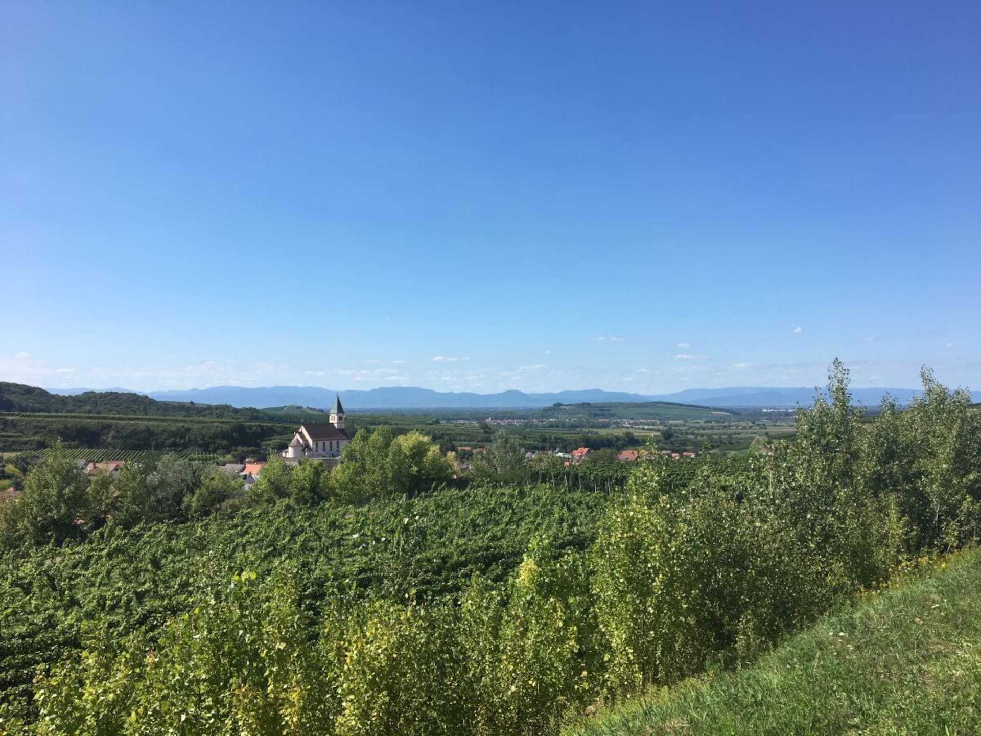 Op 1,0 km van het centrum: Rustgevend vakantiehuis in Endingen - foto 25