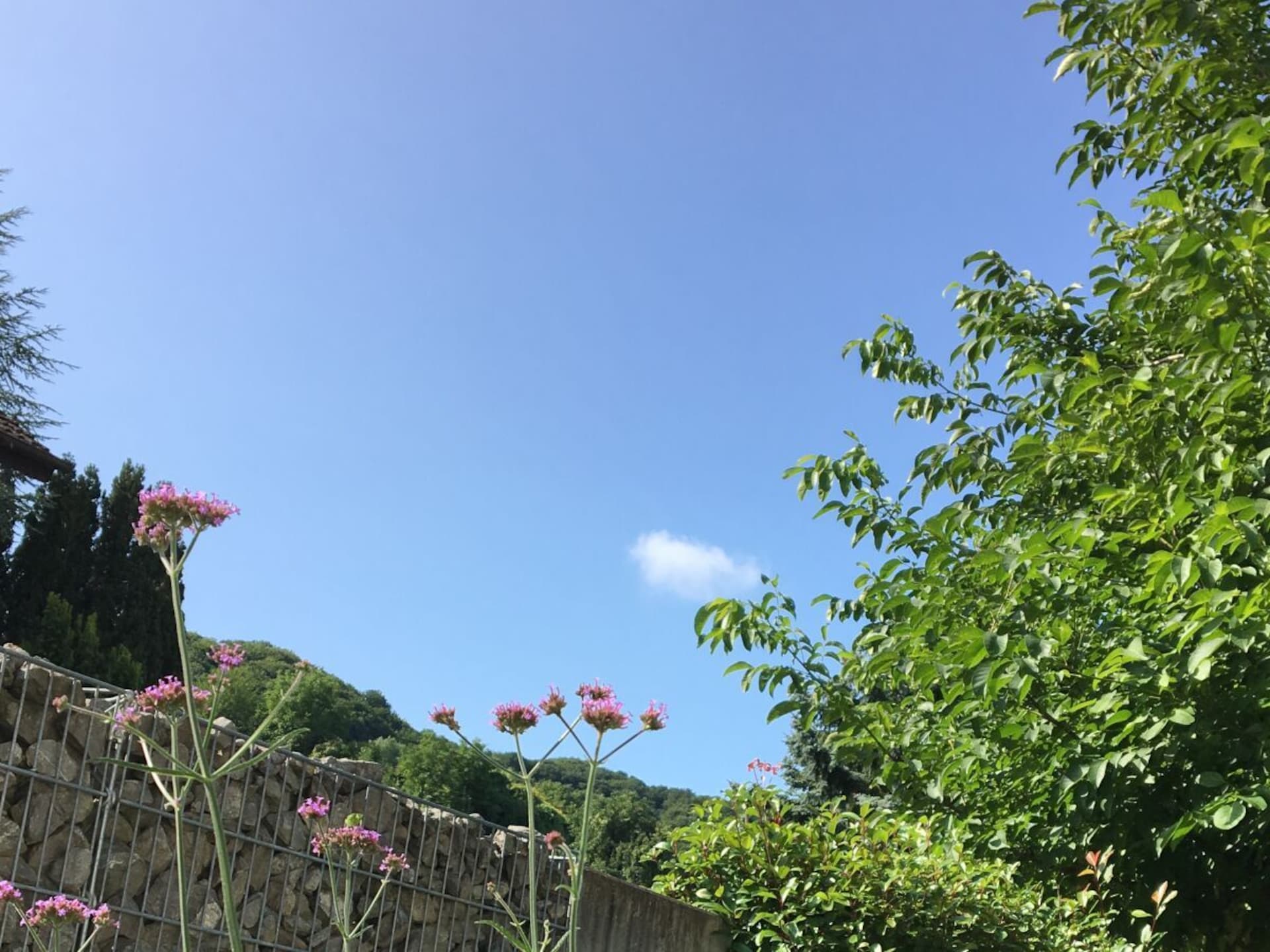 Op 1,0 km van het centrum: Rustgevend vakantiehuis in Endingen - foto 34