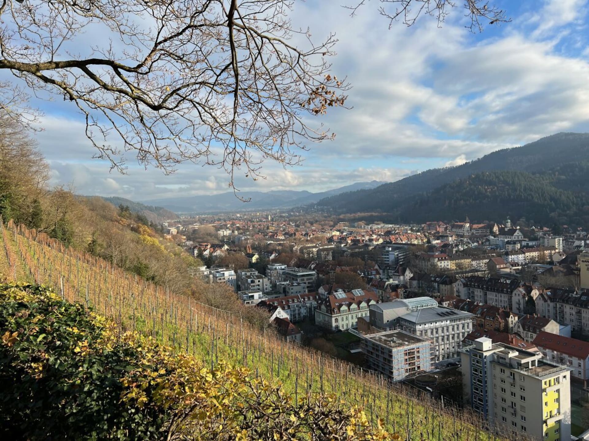 Op 1,0 km van het centrum: Rustgevend vakantiehuis in Endingen - foto 30