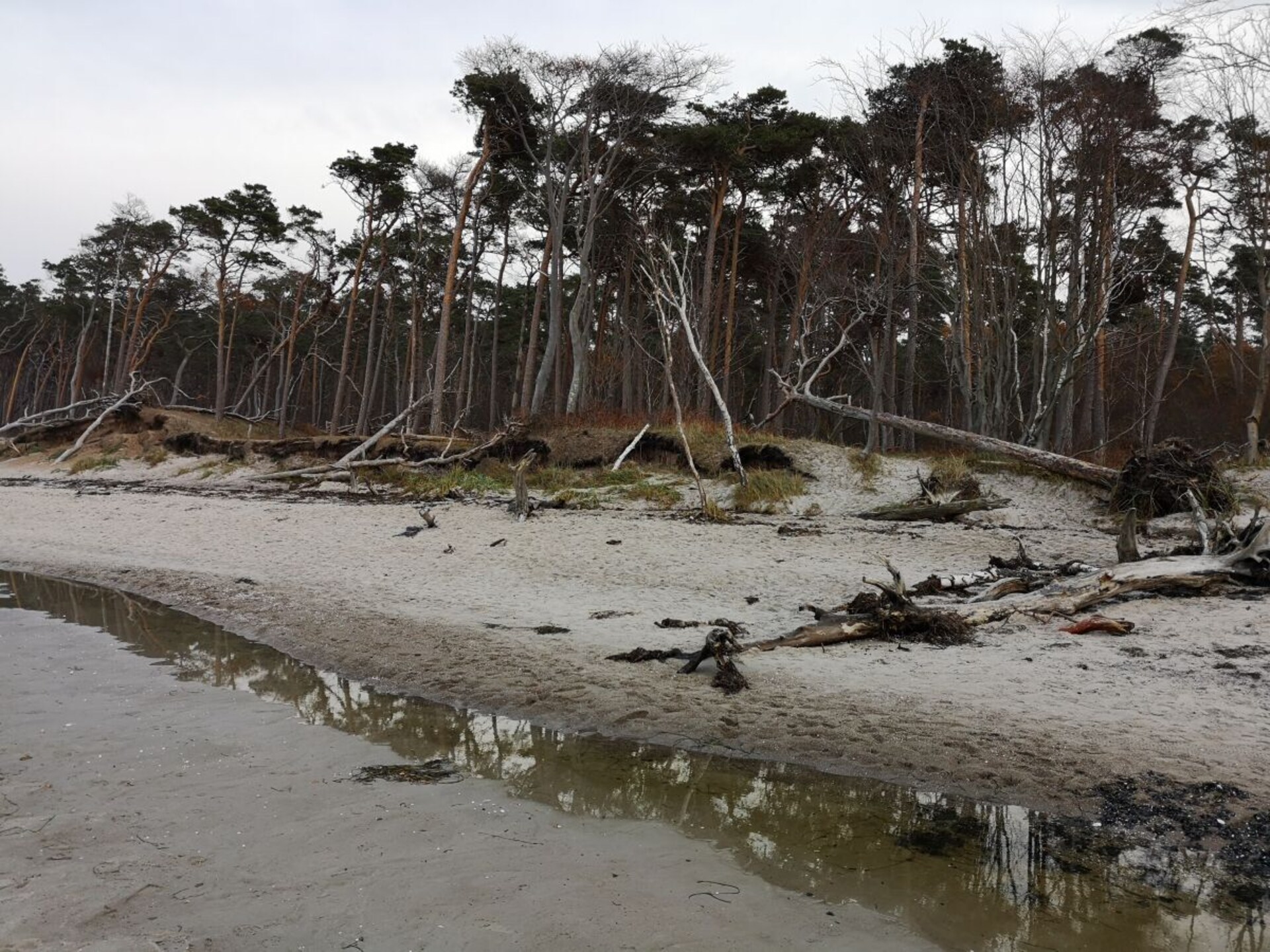 Landelijk vakantiehuis met rieten dak in Born a. Darß, 6 personen - foto 26