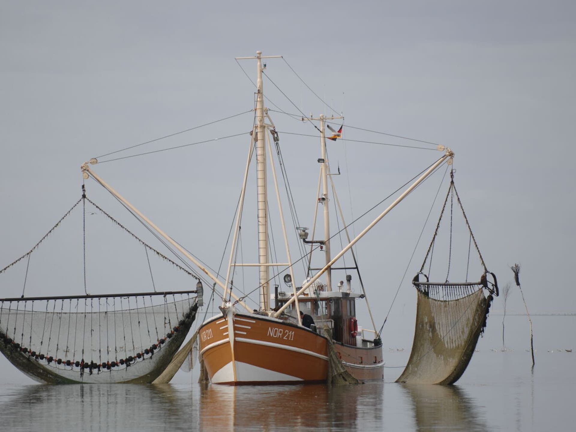 Vakantiehuis met panoramisch uitzicht op wad en haven in het hart van Juist - foto 20