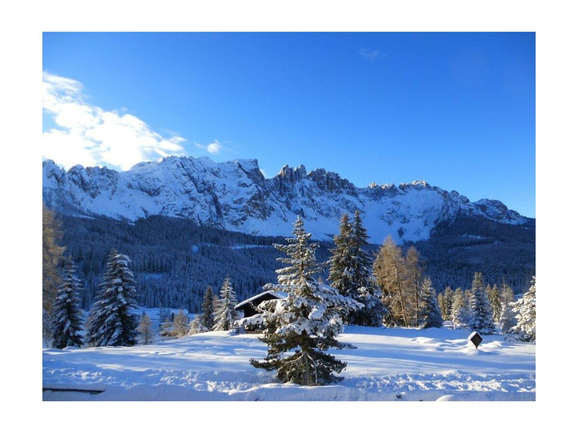 Ruim appartement aan de piste & golfbaan in Karersee - foto 5