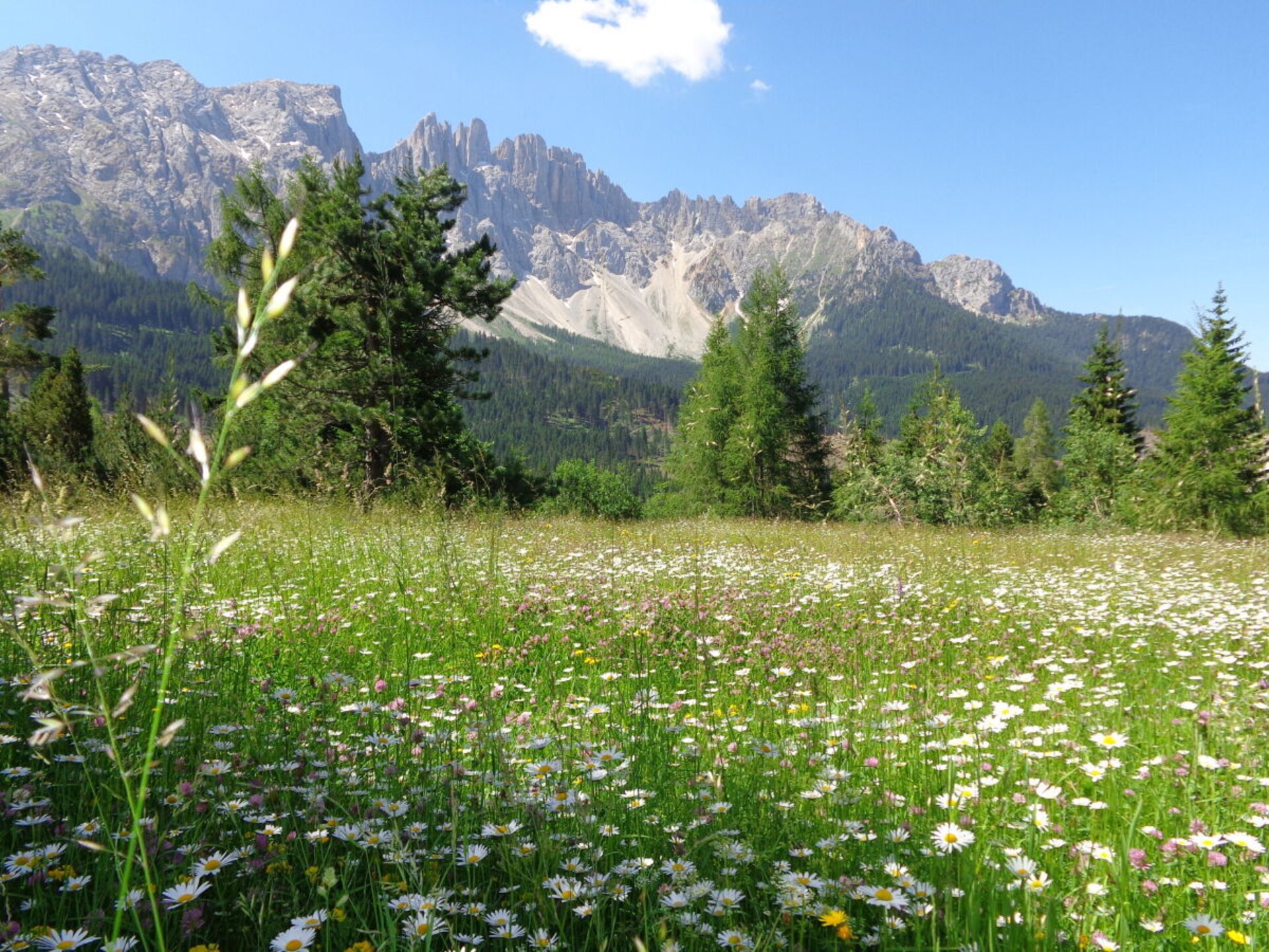 Ruim appartement aan de piste & golfbaan in Karersee - foto 14