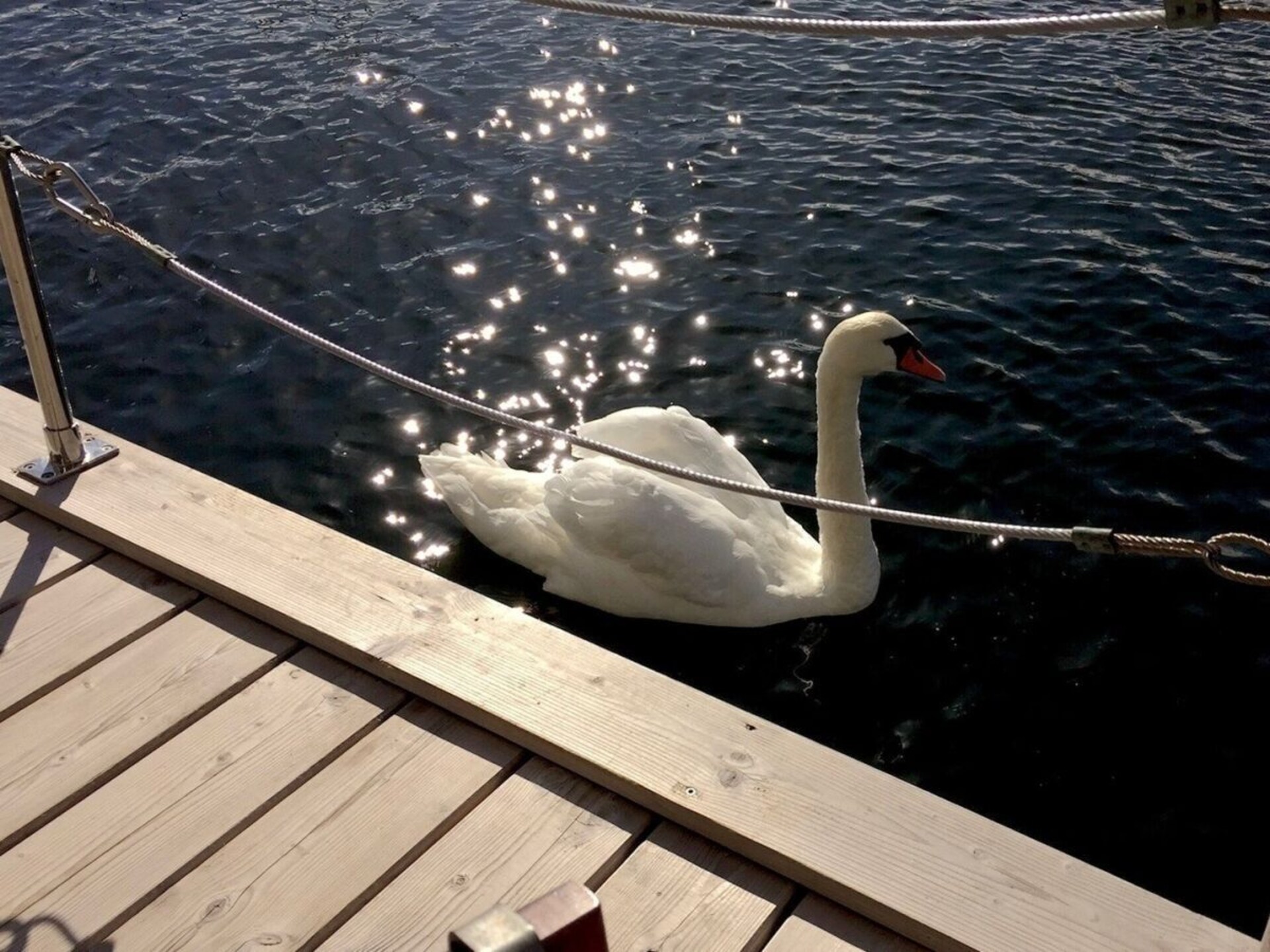 Unieke woonboot in haven Burgstaaken – 5 pers., terras & hangmat - foto 17