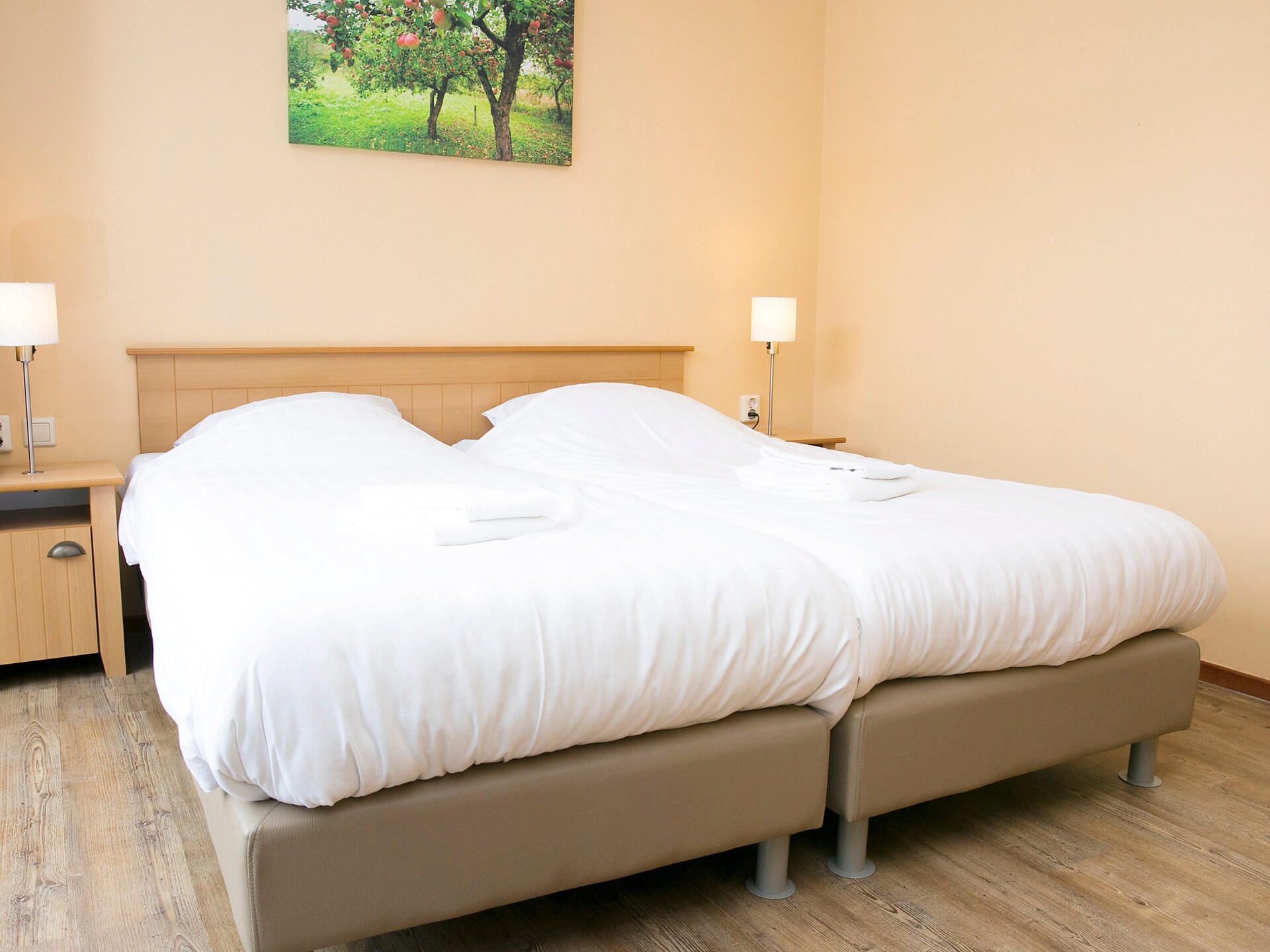 Comfort bungalow – Max 6 personen – nummer 49 - foto 4